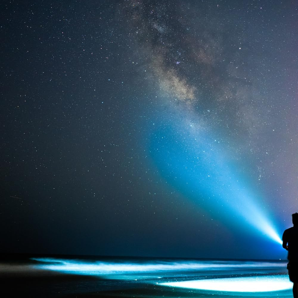 Maglite ML300LX LED 3-Cell D Flashlight, Matte Black image number 6