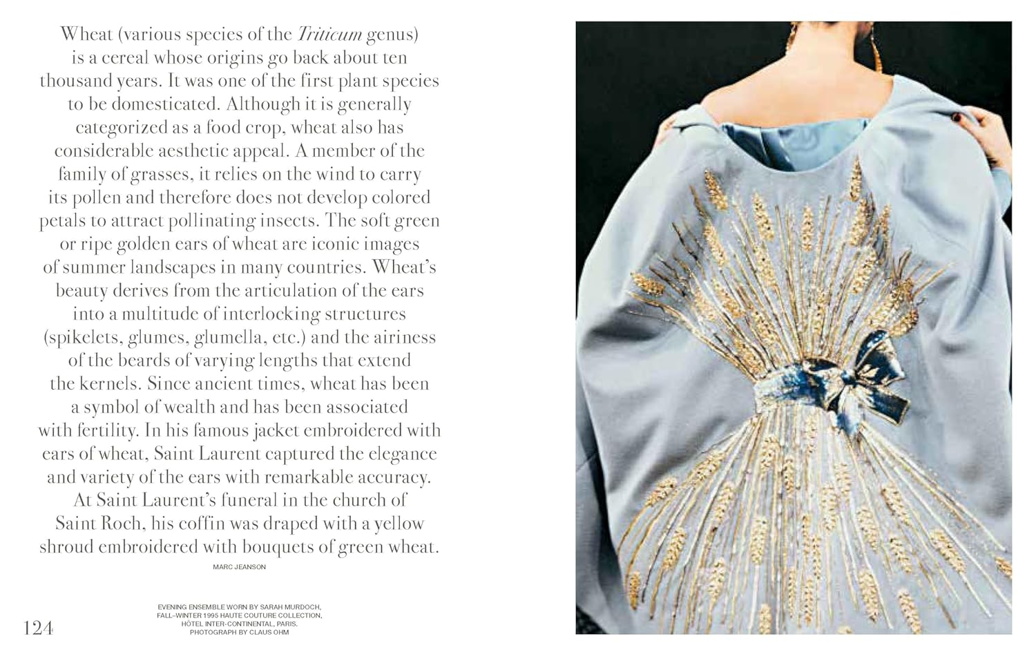 The Flowers of Yves Saint Laurent image number 1