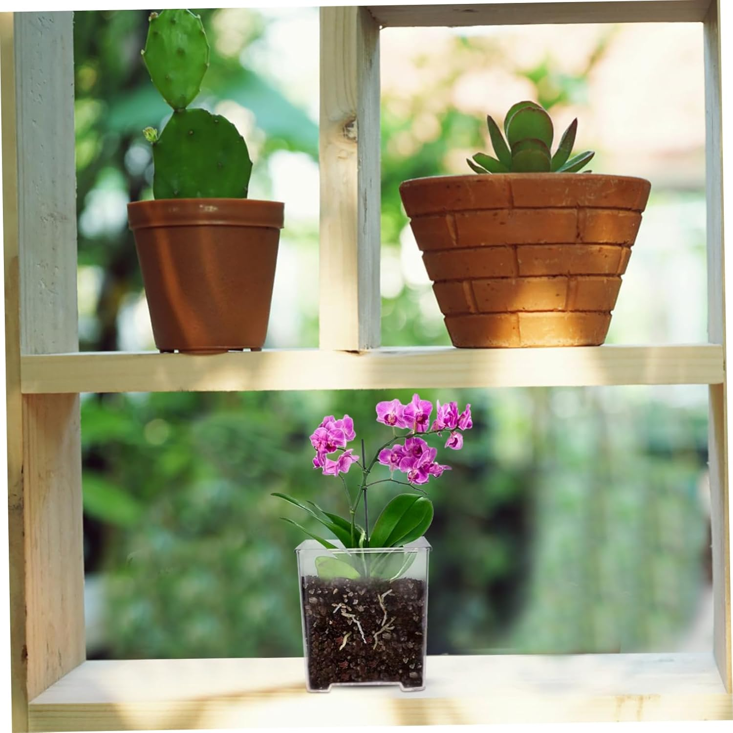 OFFSCH 5Pcs Orchid Pots Drainage Trays Breathable Slotted Plant Container for Outdoor Gardening Acrylic Flower Planter for Healthy Root Growth image number 6