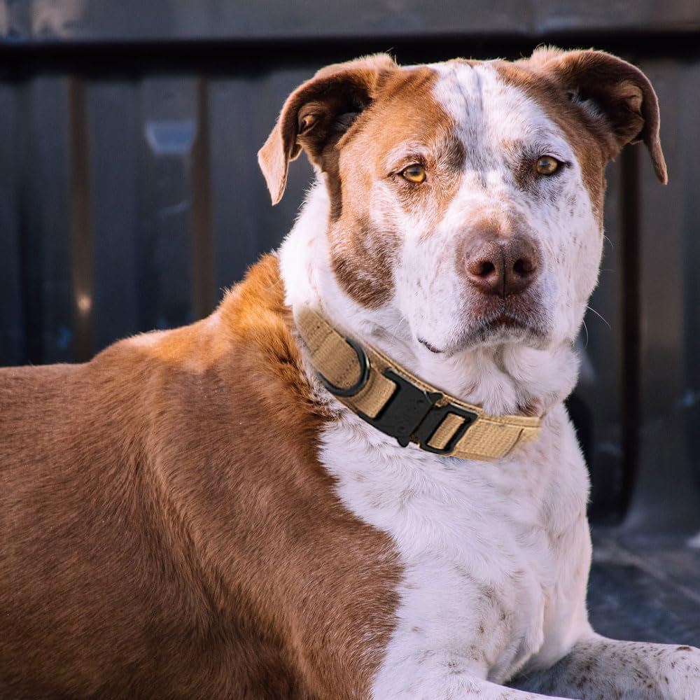 Voarge Tactical Dog Collar, Adjustable Dog Collar with Control Handle, Padded Nylon Dog Collar, Metal Buckle, for Medium Large Dogs, Hunting Training, Outdoor (Brown, XL)