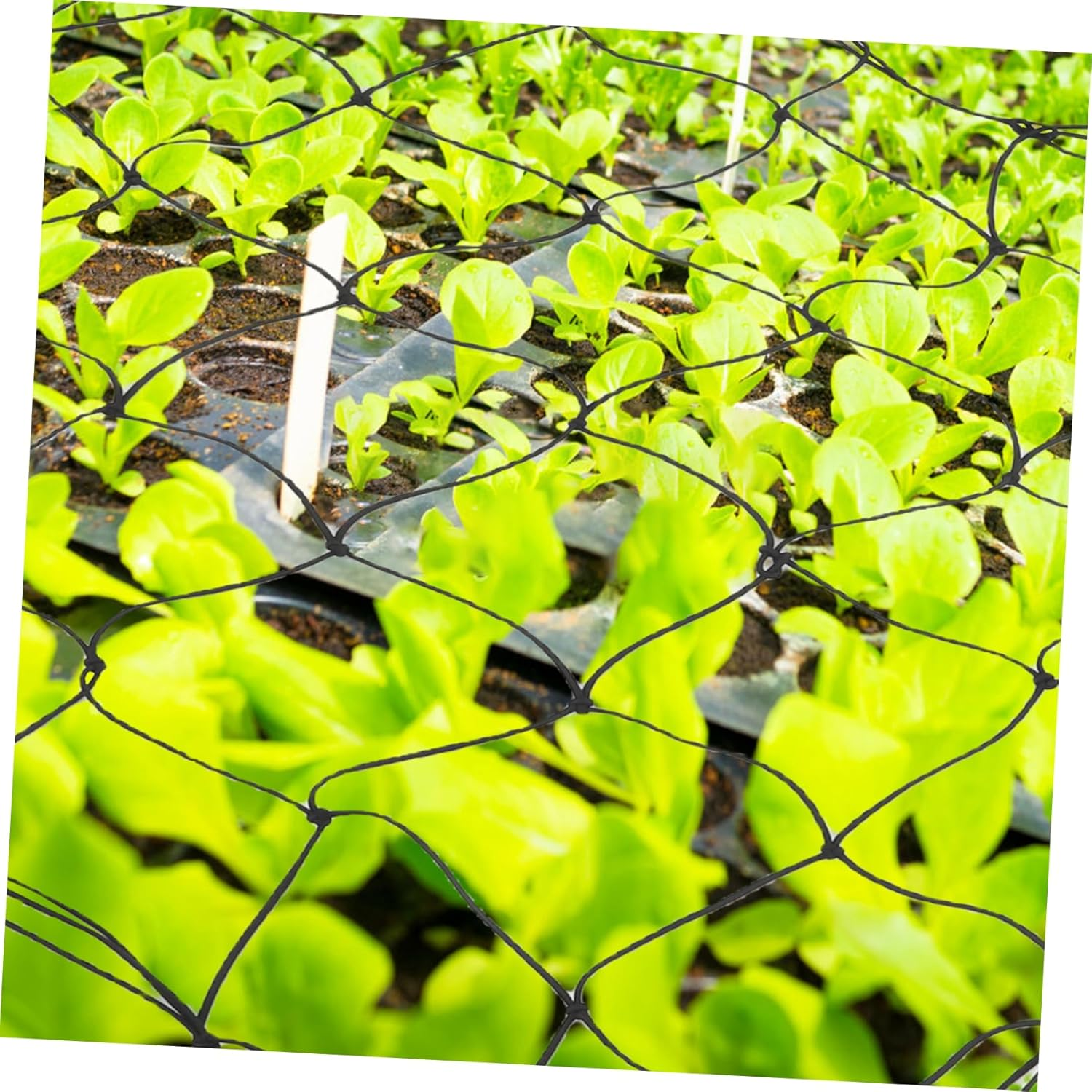 BESPORTBLE Plants Netting for Garden Durable Trellis Support for Climbing Plants Strong Support Design for Healthy Growth for Outdoor Gardening image number 5