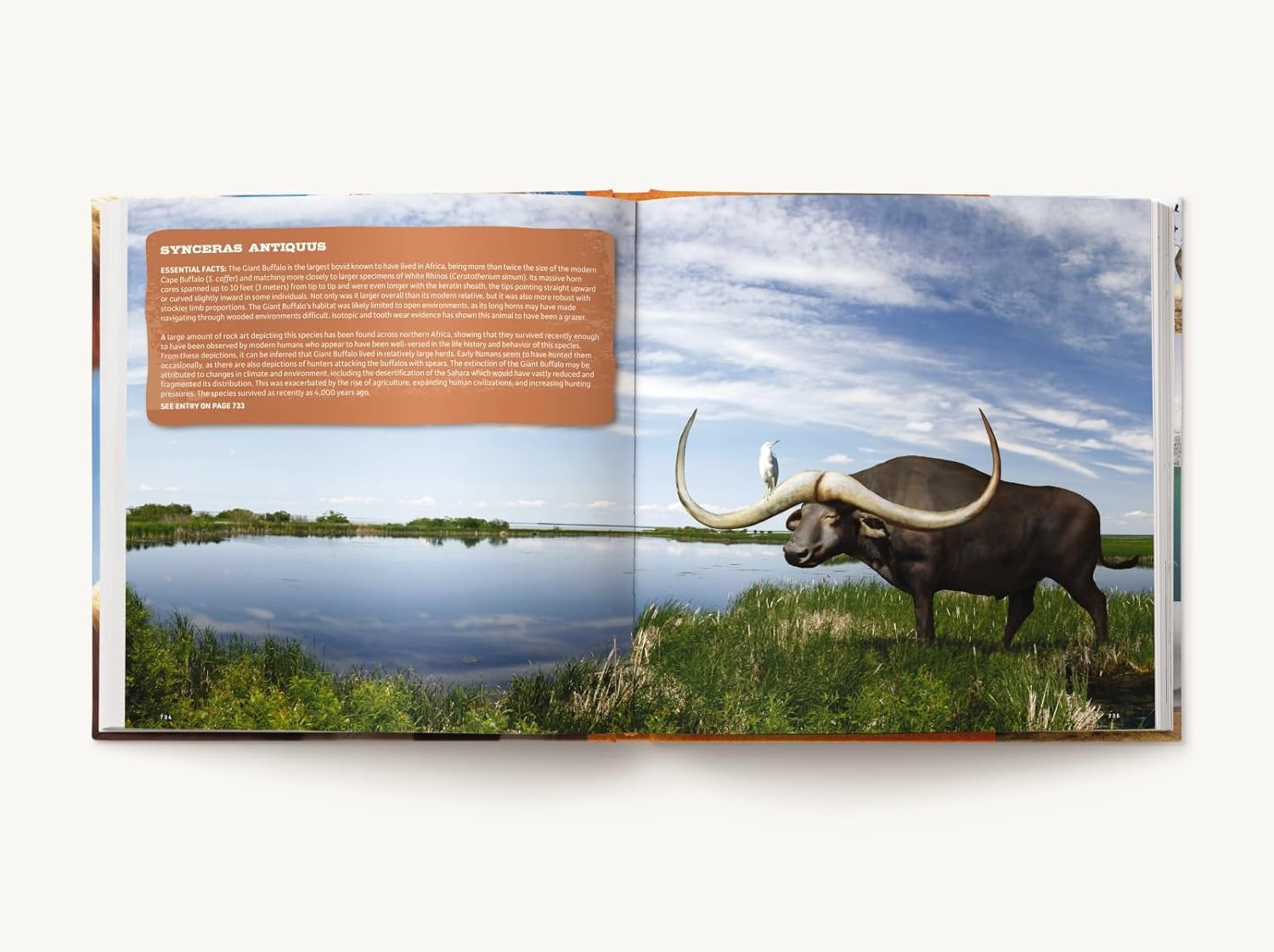 Prehistoric World: over 1,200 Incredible Mammals & Discoveries from the Mesozoic & Cenozoic image number 1