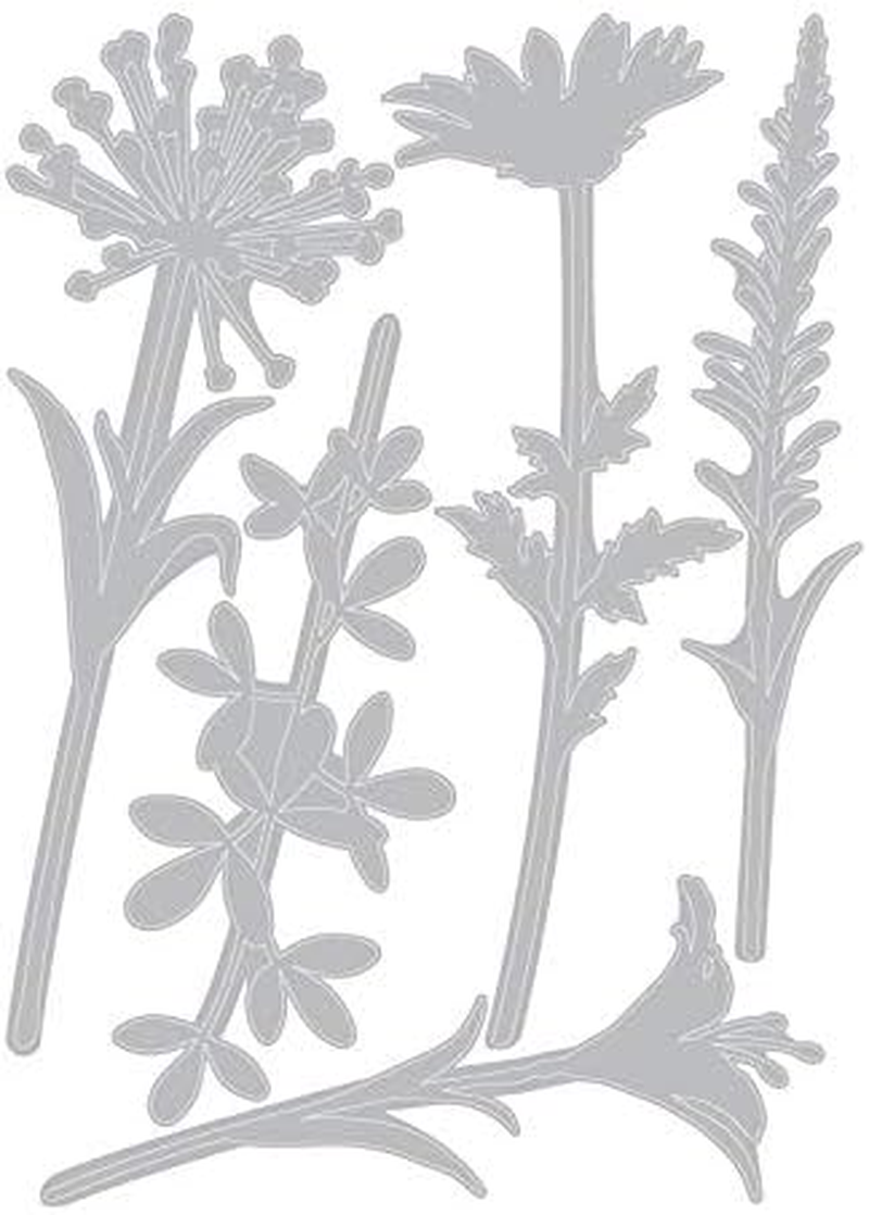 Sizzix Thinlits Die Set, Wildflower Stems #2 by Tim Holtz, 5 Pack, One Size, Multicolor 5 Piece image number 5