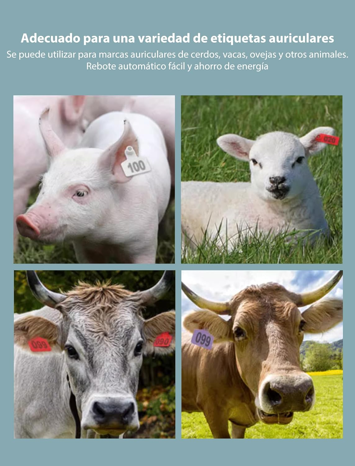 HEEPDD Livestock Ear Tag Plier, Animal Ear Tag Install Tool 90 Degrees Applicator Puncher Tagger for Livestock Pigs Sheep Goats Cattles Cows image number 4