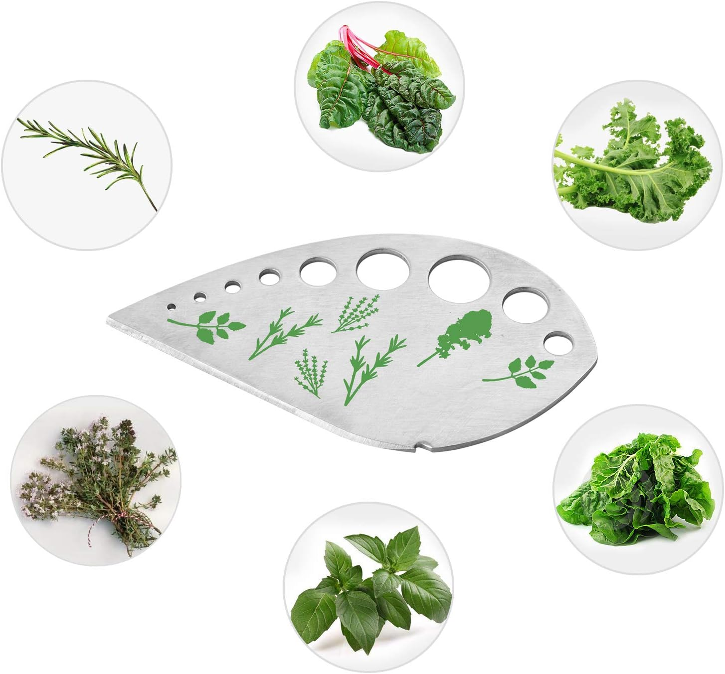 Leaf Herb Stripper, Stainless Steel Kitchen Herb Stripper Tool, 9Holes, 2 in 1 Design,Curved Edge Can Be Used as a Kitchen Knifefor Chard, Collard Greens, Parsley, Basil, Rosemary Herb, Taragon, Thym image number 4