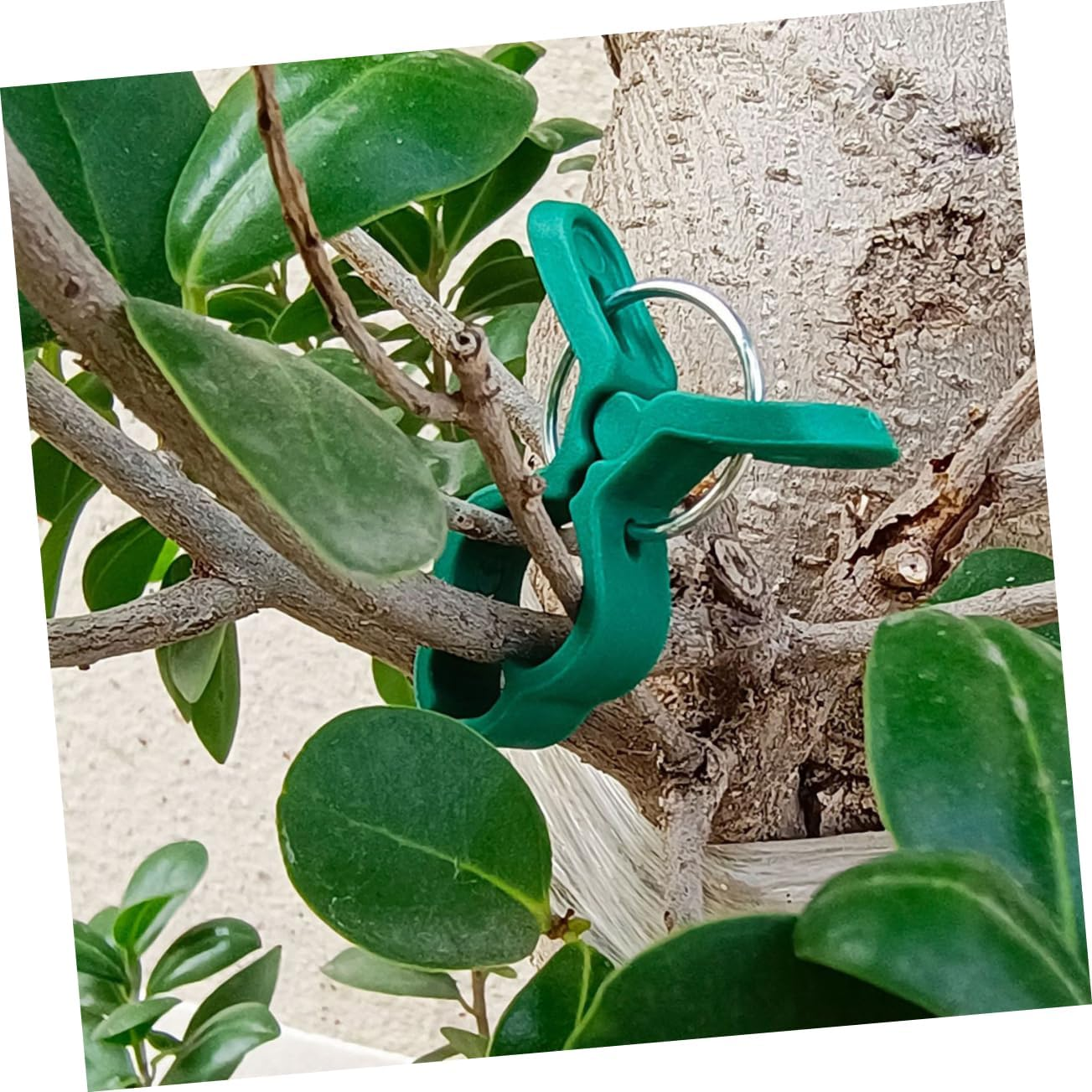 MINAOLULUS 60Pcs Plant Clips and Tomato Clips Set for Gardening Large Green Plastic Garden Plant Support Clamps for Vines Flowers and Vegetable Stems image number 3