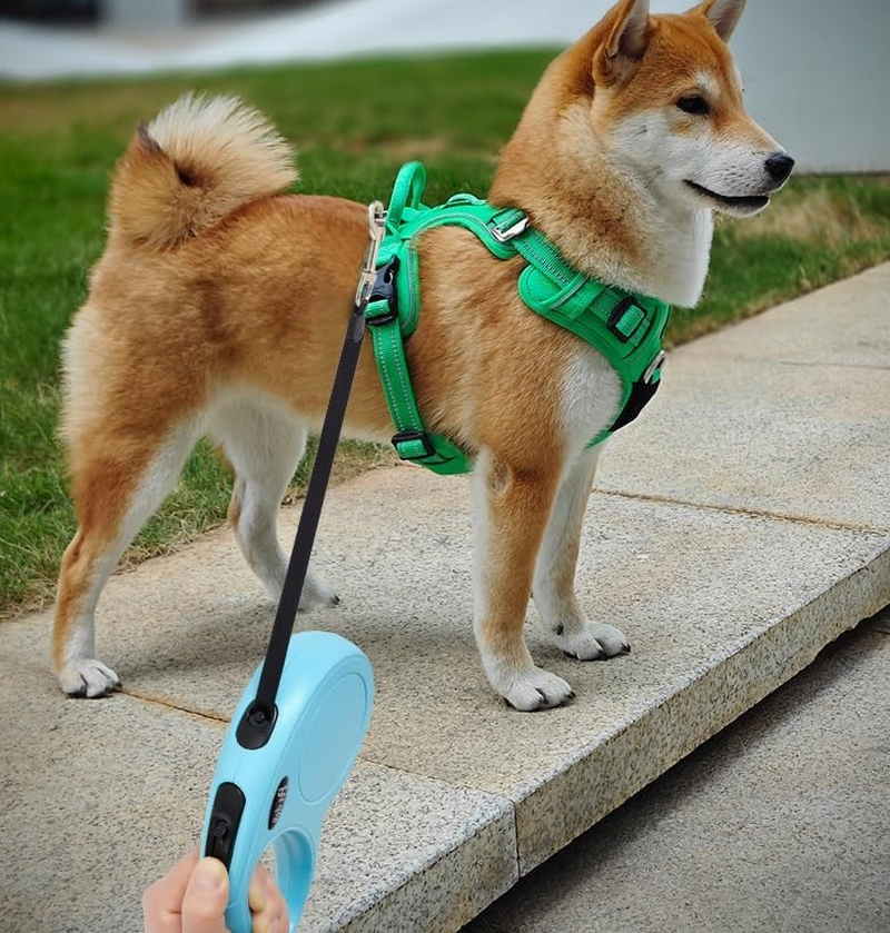 Tape Small 5M Retractasmall Retractable Dog Leash/Lead for Dogs Ble Dog Leash/Lead for Dogs up to 15Kgs/33Lbs (Blue, 5M) image number 5