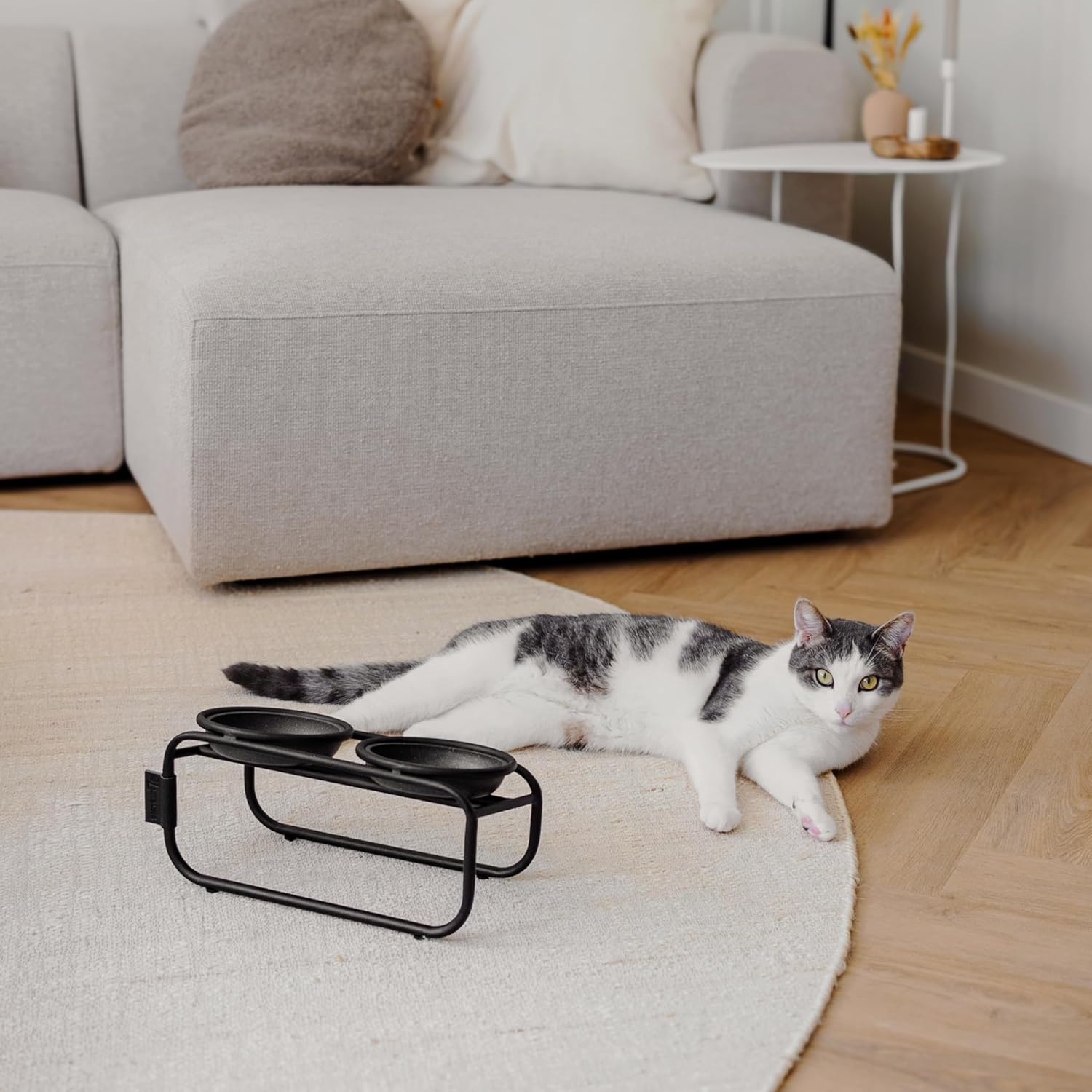 District 70 - Butler Cat Bowl Stand image number 2