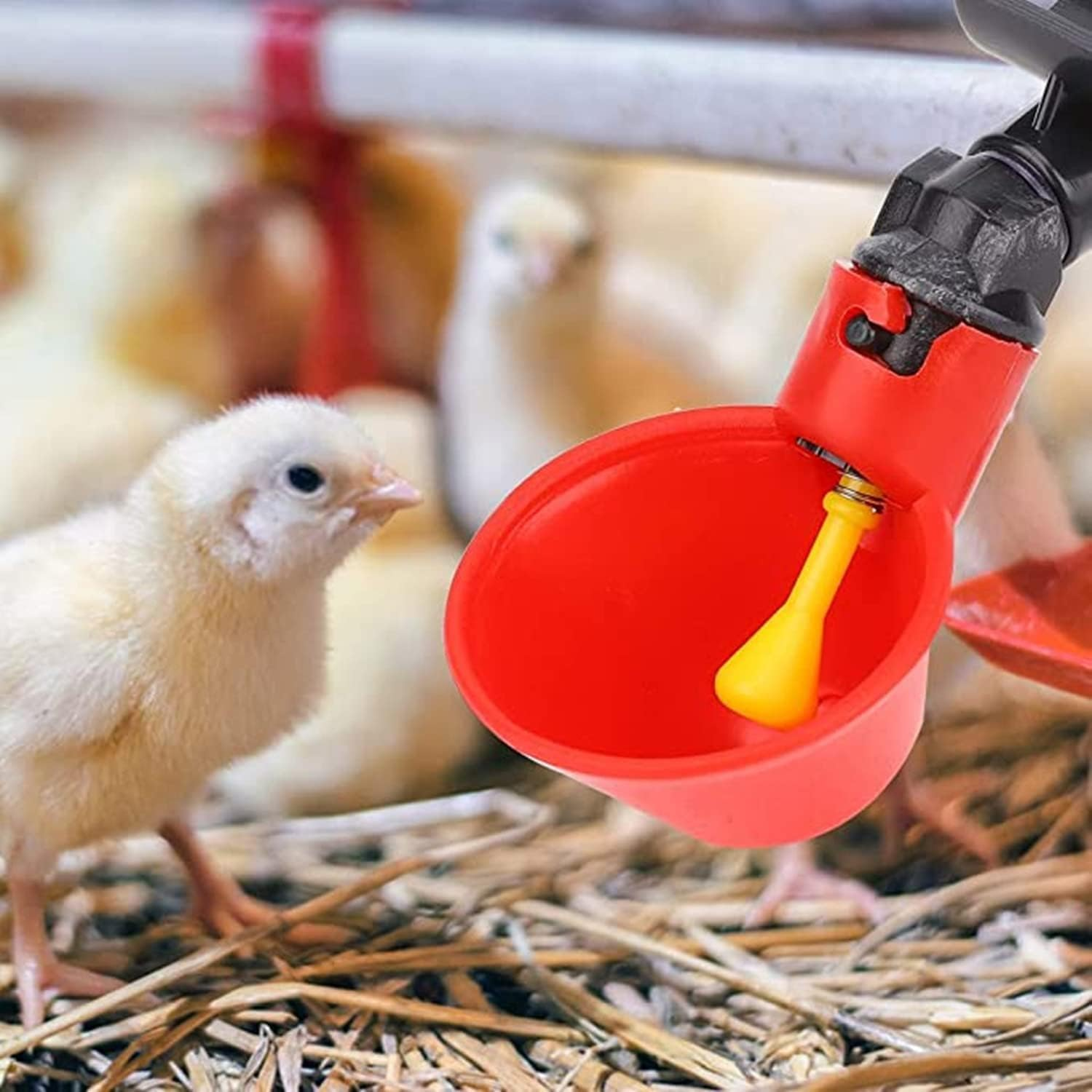 10 Pcs Automatic Chicken Drinkers Waterers Poultry Watering Cups Bowls Drinking Dispenser Cage Accessories, for Chicken Quail Water Cups Drinker Automatic Farm image number 4