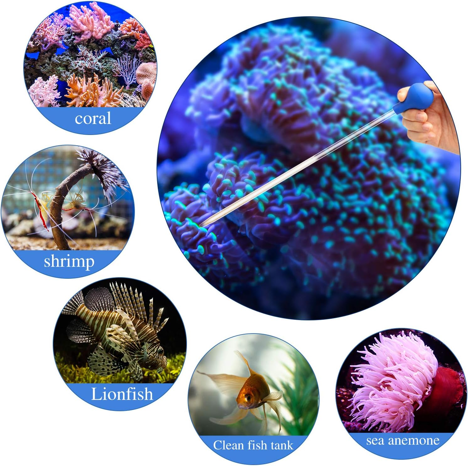 BOAO 2 Sets Long Pipette for Fish Tank Coral Food Feeder Long Syringe Aquarium Coral Feeding Tube for Marine Fish Reef Aquatic Plant Spider Snake Lizard(Blue) image number 2