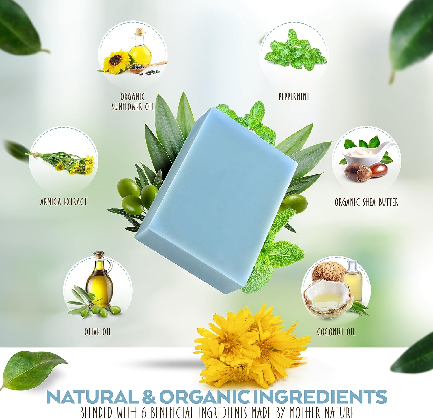 Aspen Kay Naturals Arnica and Mint Soap, Vegan, Olive Oil, Shea Butter, Coconut Oil, Essential Oils, Palm Oil, Cold Processed. for All Skin Types, Sensitive Skin, MADE in the USA (1 Pack)