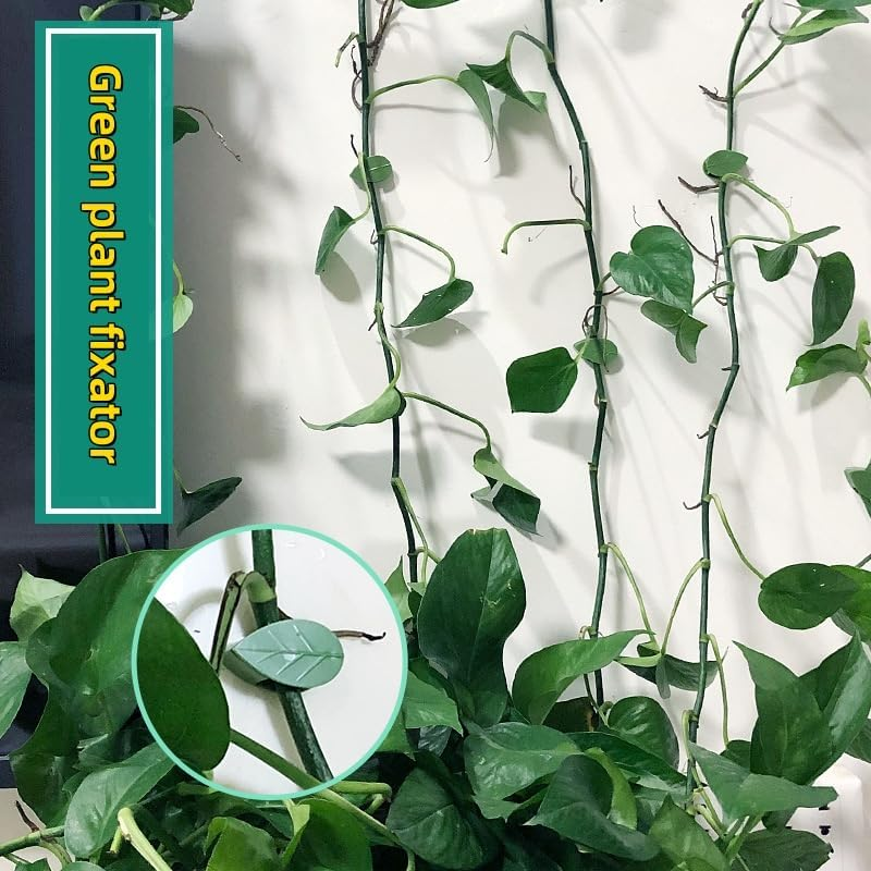 50 Pieces Green Plant Fixator No Trace Adhesive Plant Clips for Climbing Plants Strong Wall Clips for Vine Plants Eco Friendly Plant Wall Clips Easy to Use Space Saving Plant Clips image number 1
