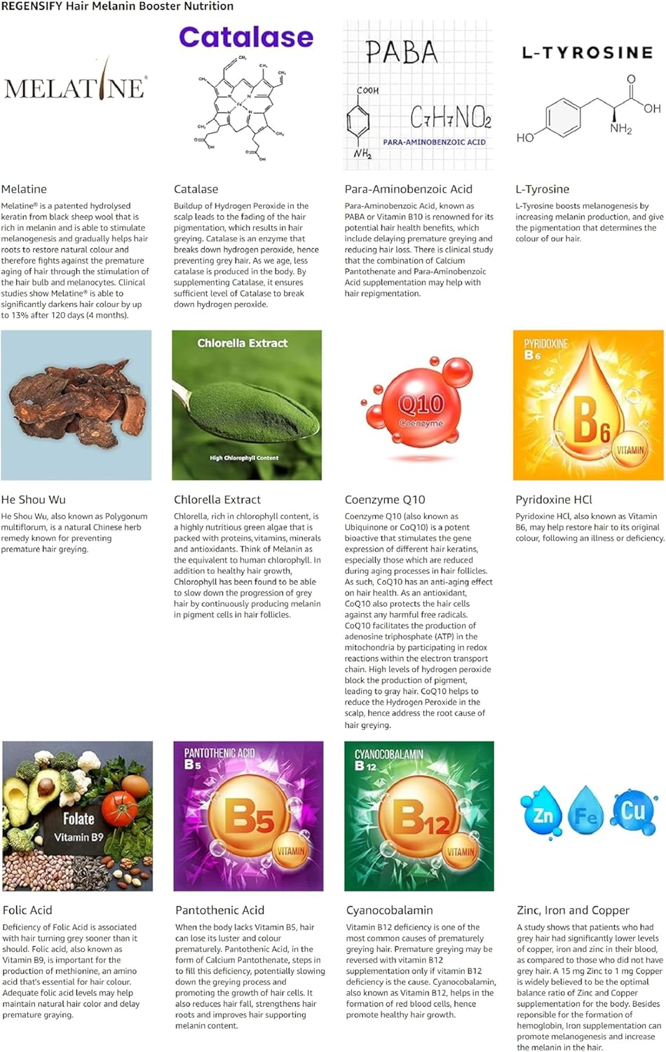 REGENSIFY Hair Melanin Booster Nutrition [Anti Grey Hair Supplement for Men & Women | Melatine&reg;, Catalase, PABA, L-Tyrosine, He Shou Wu, Chlorella Extract, Coq10, Folic Acid, Pantothenic Acid] image number 5