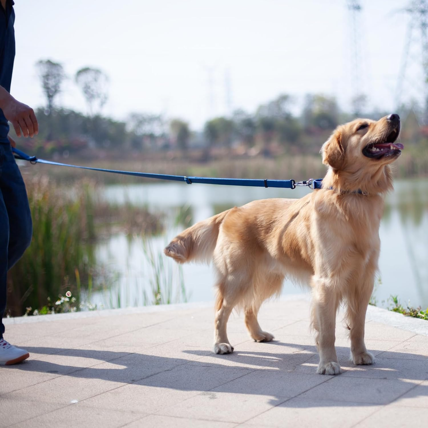 Hyhug Pets Premium Upgraded Adjustable between 4 Feet and 6 Feet Leash with Sturdy Nylon and Super Soft Neoprene Lined Handle for Medium Large Giant Dogs Lead. (Small, Classic Blue) image number 5