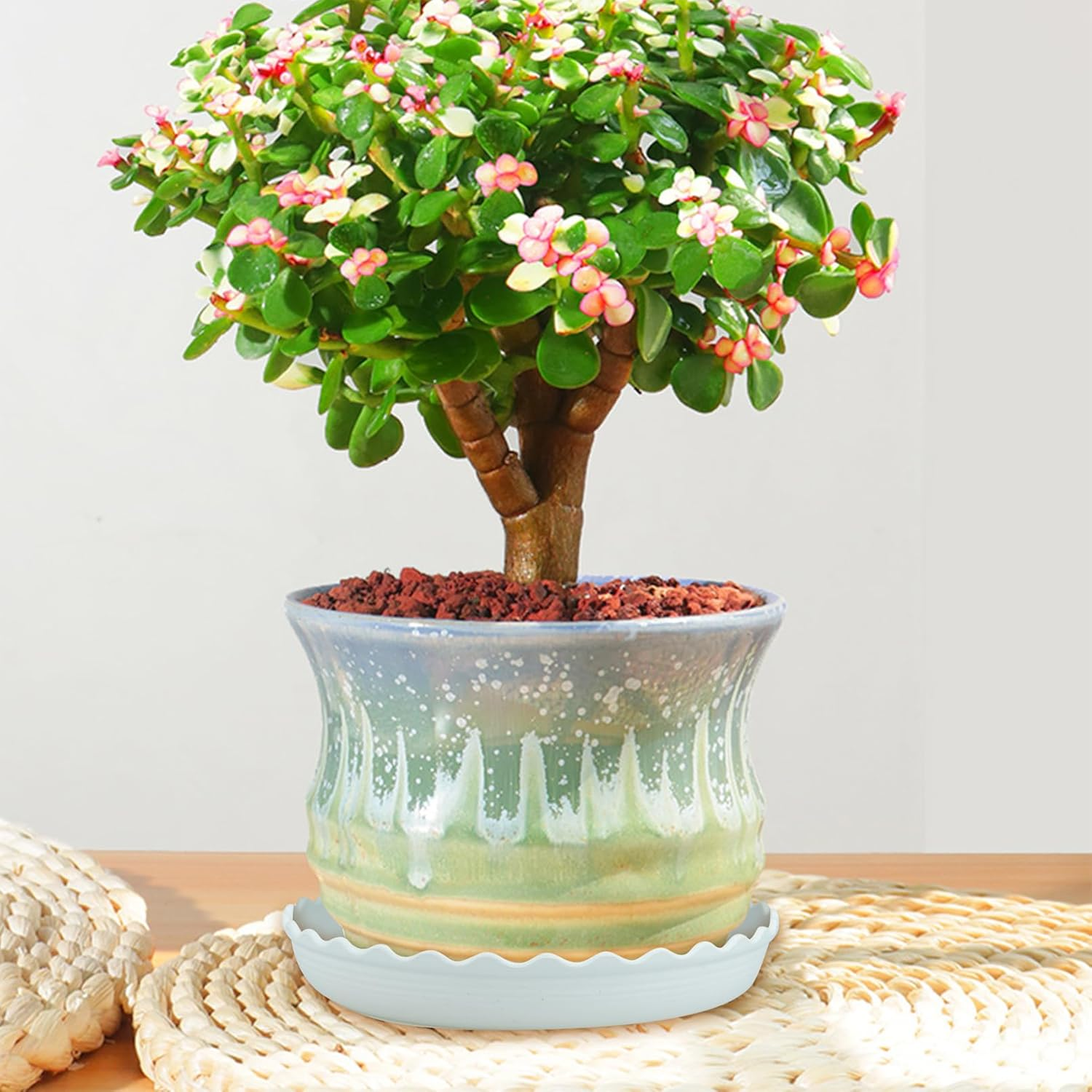 12 Pack White Flower Pot Trays - Durable Plastic Saucers for Small to Medium Planters, Ideal for Home, Office, Garden & Balcony image number 4