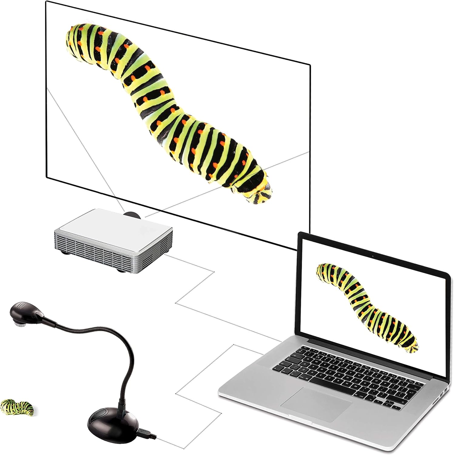 HUE HD Portable USB Camera and Visualiser with Carry Case (Black) - Black image number 4