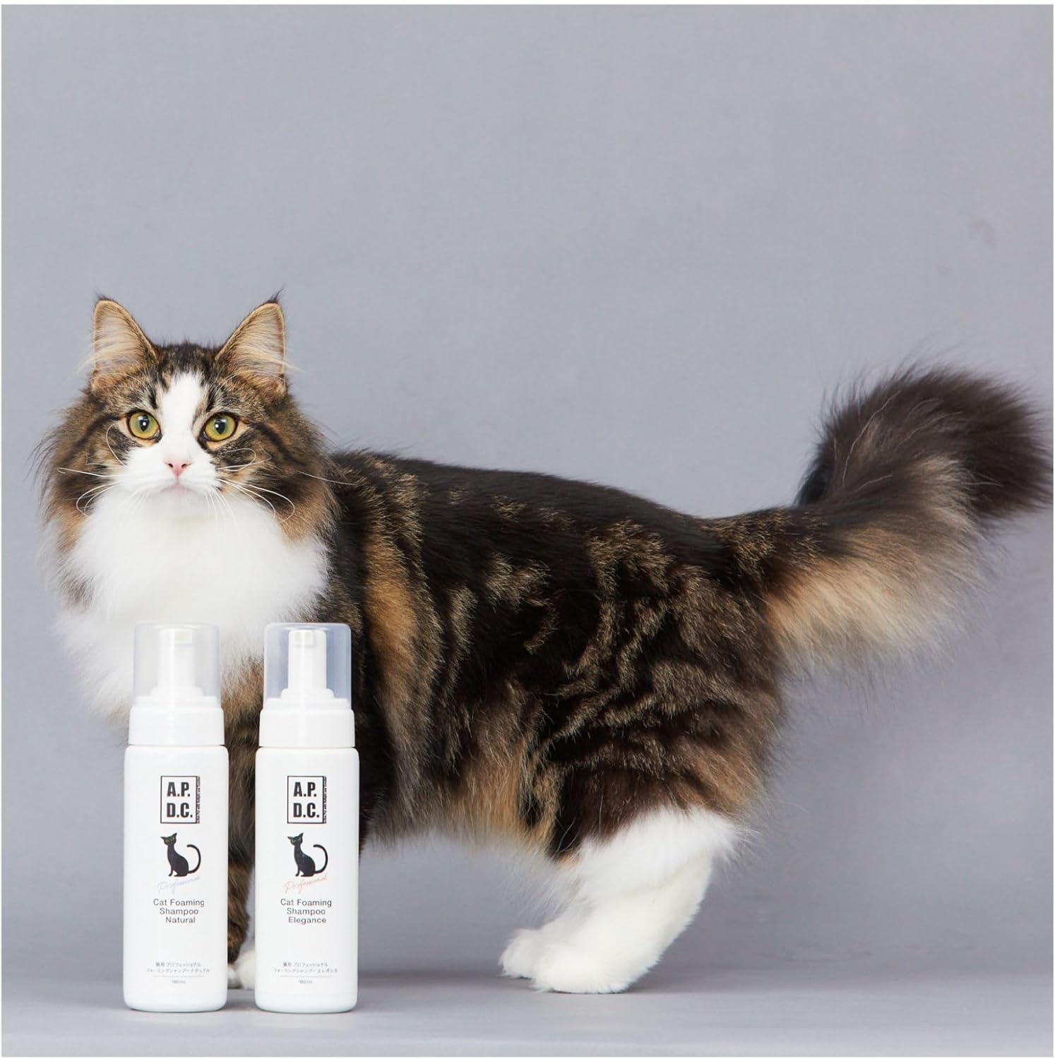 A.P.D.C. Professional Foaming Shampoo for Cats, Natural, 6.1 Fl Oz (180 Ml) image number 6