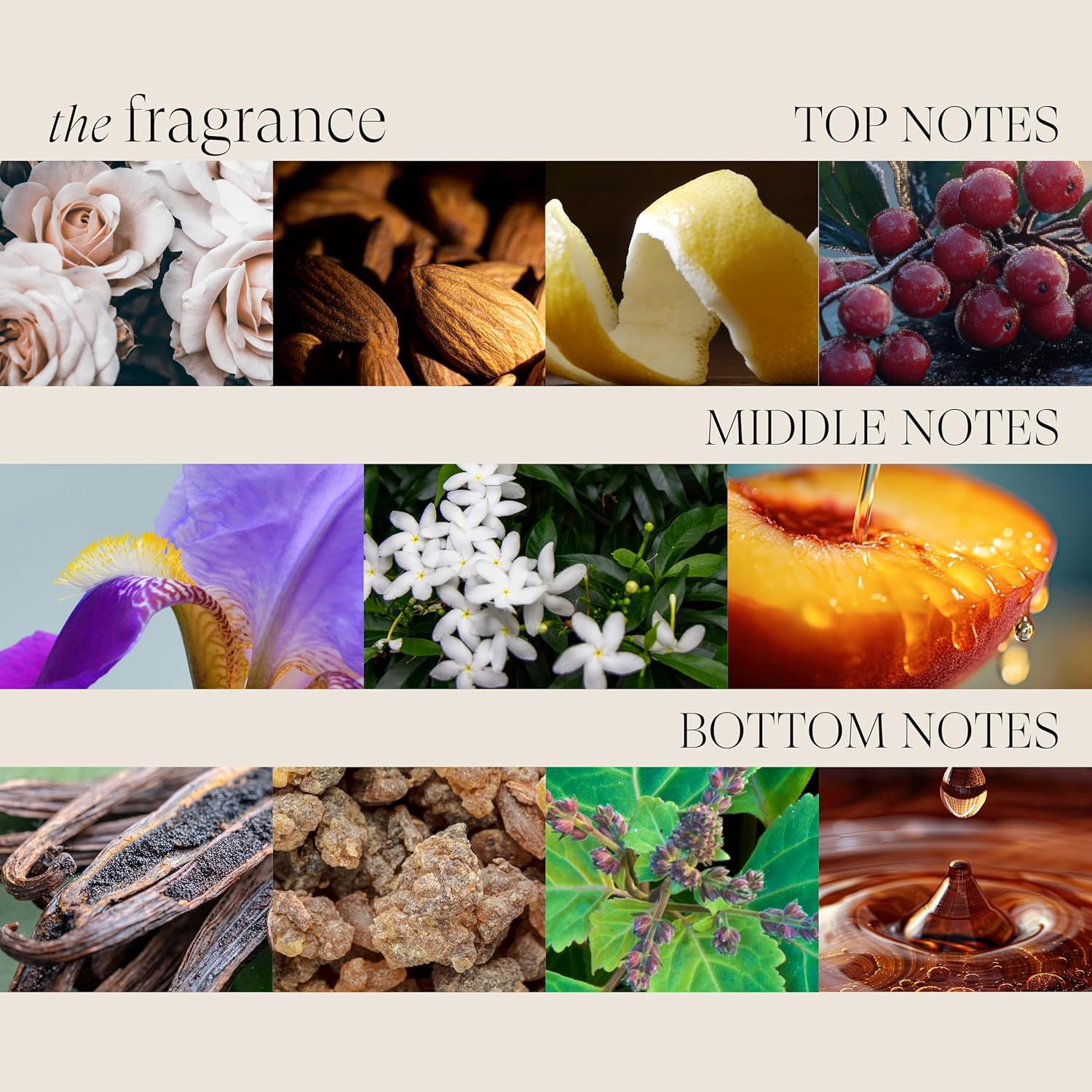 L'ANZA Keratin Healing Oil Shiny Conditioner for Damaged Hair (50 Ml), Nourishes, Repairs, Shine & Strength for a Silky Look, Sulphate Free, Paraben-Free, Gluten Free, Hair Conditioner image number 6