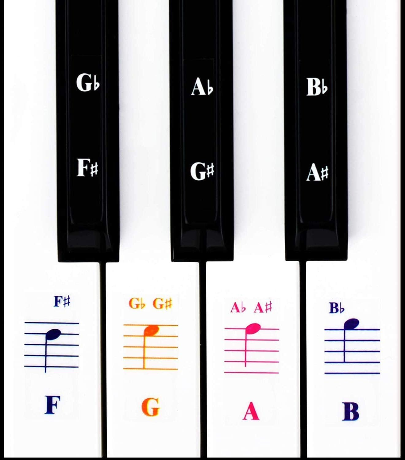 Piano Keyboard Notes Stickers 88/61/54/49/37 Keys Multi-Color,Transparent,Removable Colorful Large Bold Letter Piano Stickers Perfect for Beginners Kids Learning Piano (04_Colorful Piano Key) image number 4