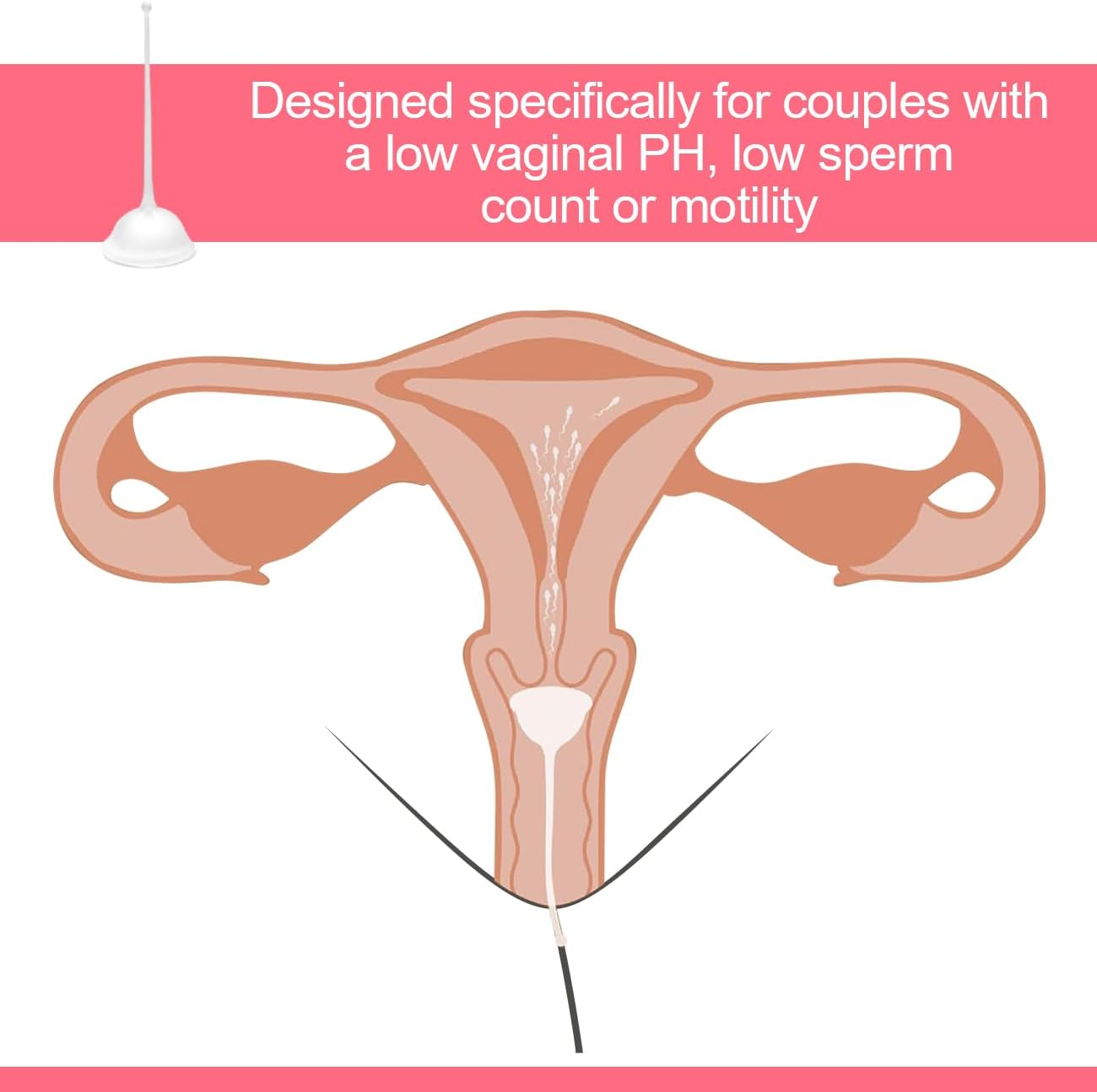Cervix Sperm Cup,Transparent Color image number 2