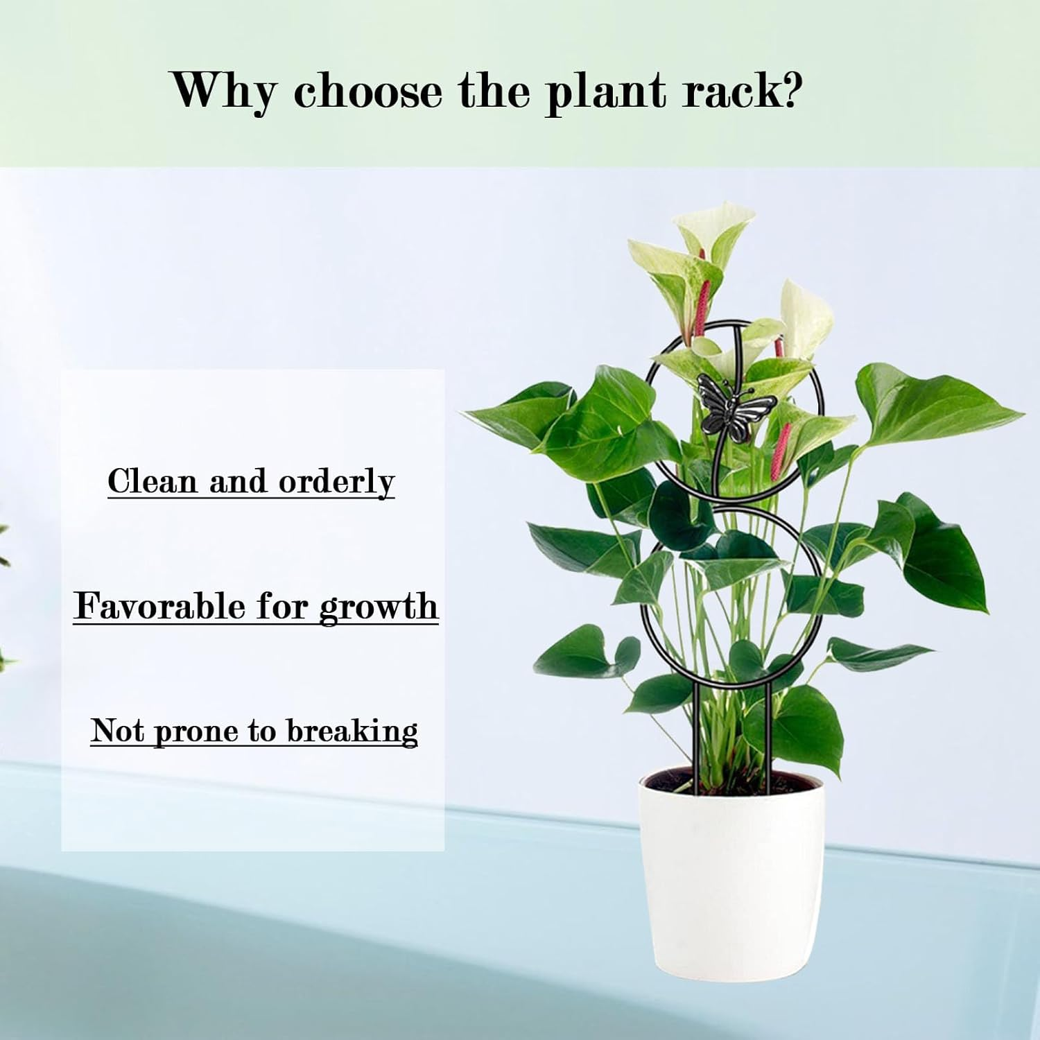 Plant Trellis,8Pcs Plant Support,13.5Inch Small Metal Trellis for Climbing Plants Outdoor with Different Patterns for Vine Ivy Flower Plants Support image number 1