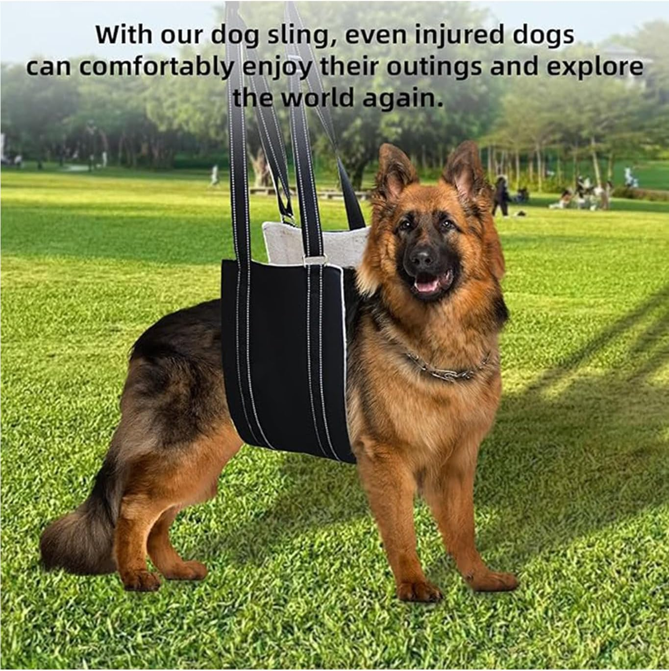 Dog Sling for Dogs Hind Leg Support, Pet Lift Harness for Rear - End Support to Help Lift Pet'S Rear, Assist the Pet Who Are Senior, Injured, Disabled or after Surgery (M)