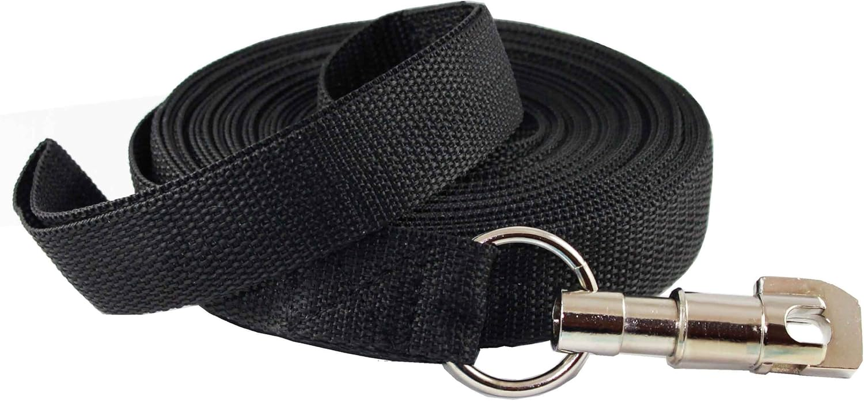 Dog Leash 1" Wide Nylon 10 Feet Extra Long for Training Secure Locking Snape Locking Snap image number 4