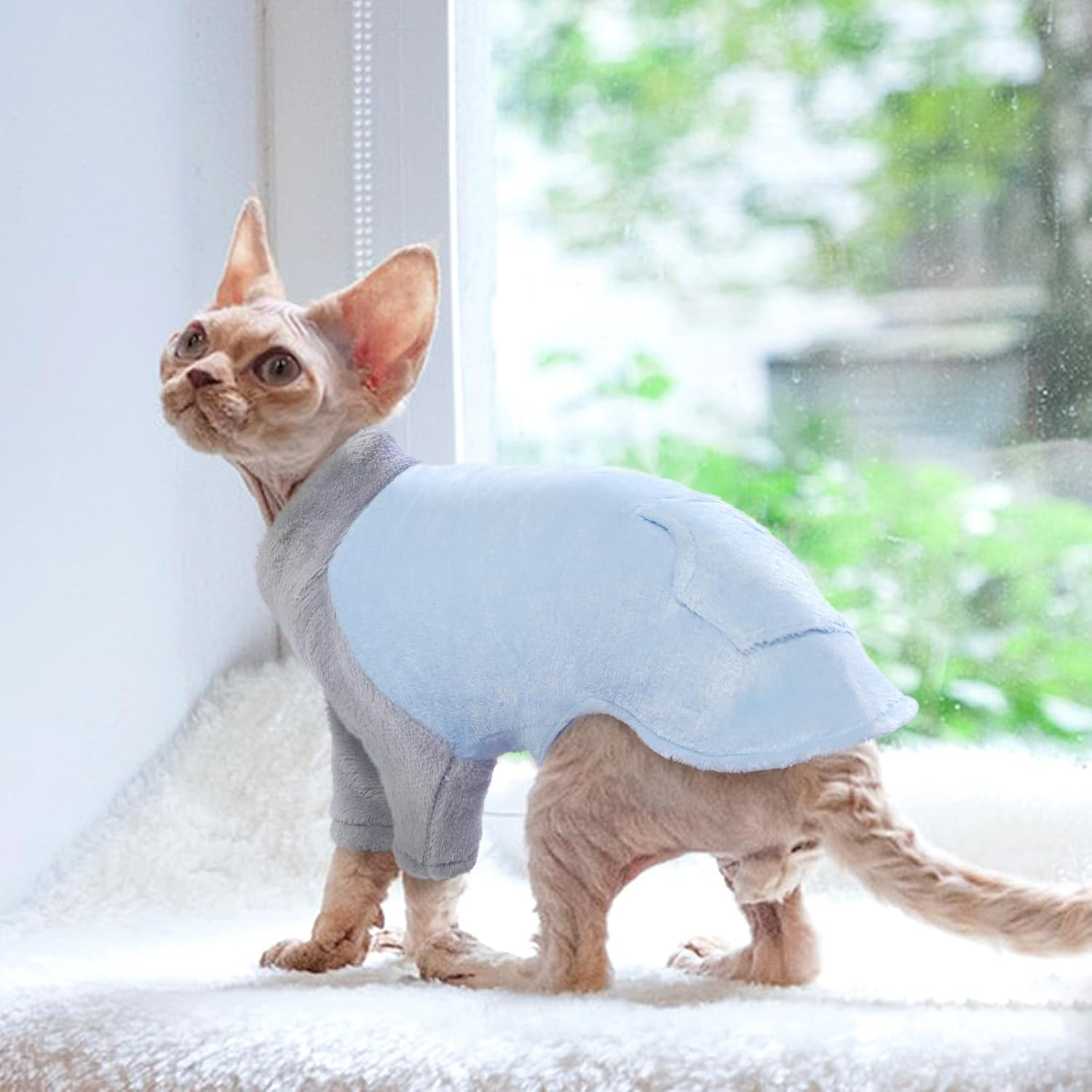 Sphynx Winter Coat for Cats, Hairless Cat Clothes, Fleece, Turtleneck Sweater (Blue, 2XL) image number 4