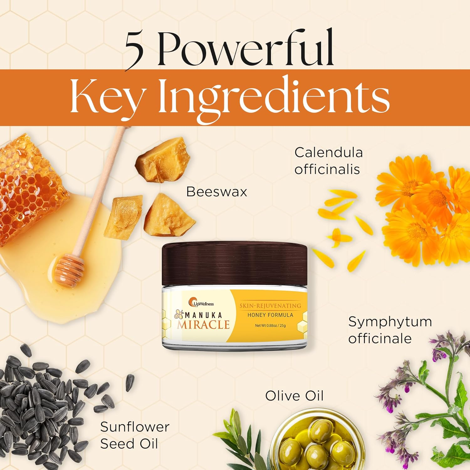 Upwellness Manuka Miracle - 100% Natural Manuka Honey Lotion - Manuka Honey Cream for Smooth, Radiant Skin - Physician-Formulated image number 4