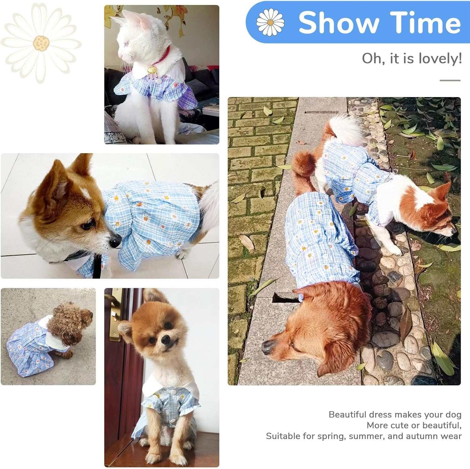 Dog Dress for Small Dogs Daisy Floral Puppy Dress Breathable Cute Doggie Dresses Spring Summer Pet Clothes (Purple, M) image number 4