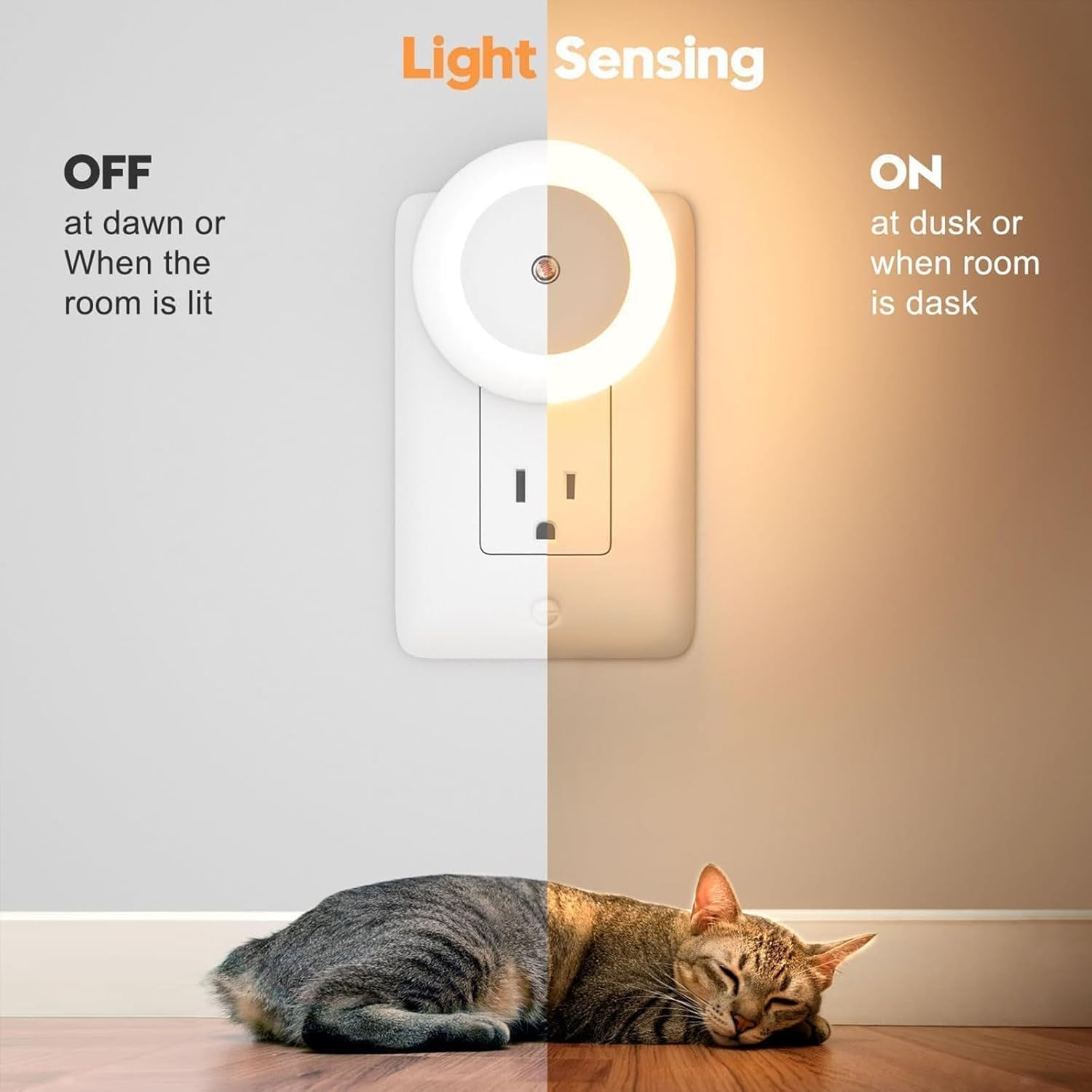 2 Pack LED Plug-In Night Light | Warm White Eye-Friendly Soft Light | Low Energy for Bedroom Kitchen Stairs Kids' Room image number 4