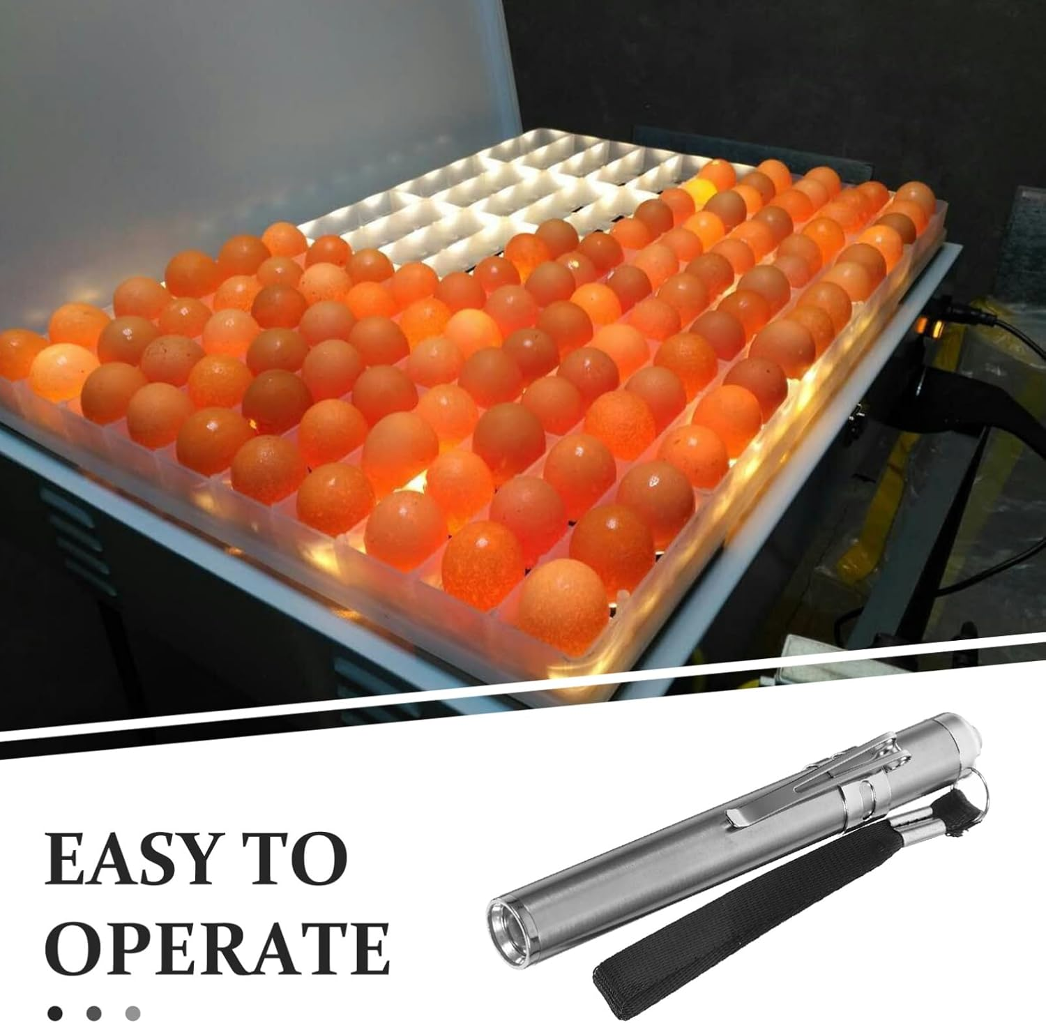 DOITOOL Portable LED Egg Candler, Egg Candling Lamp for Chicken, Duck, Goose, and Parrot Eggs, Stainless Steel, Silver, 4.05 Inch image number 3