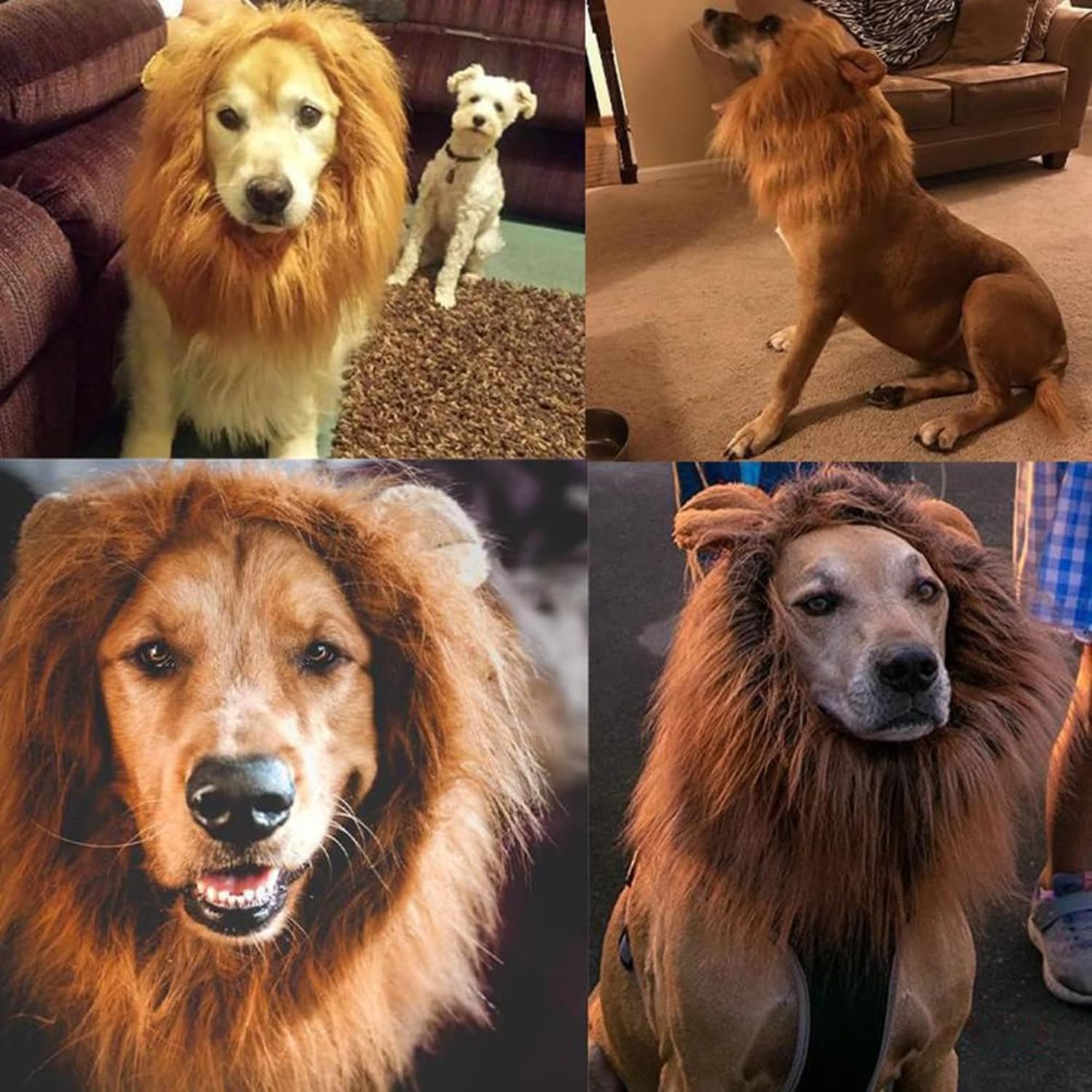 2024 Lion Mane for Dog, Dog Lion Mane Costume, Realistic Lion Mane Costume for Dog, Pet Clothes Adjustable Lion Mane Costume for Dog with Ears for Medium and Large Dog Dress up /180 image number 5