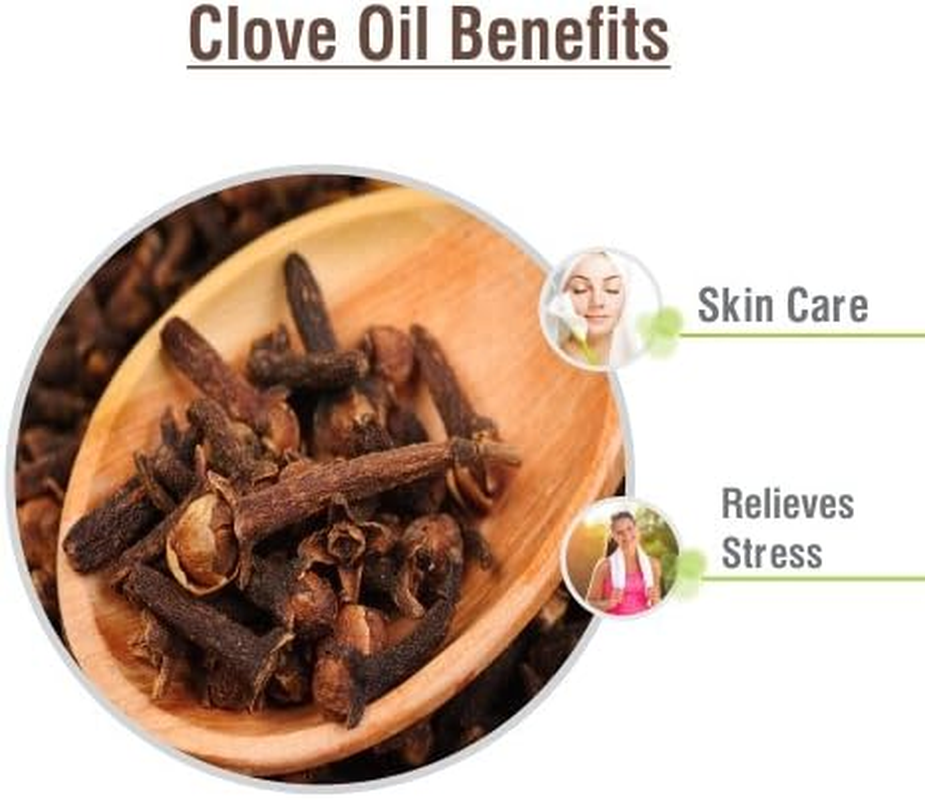 Salvia Clove Oil - 100 Ml / 3.38 Fl Oz | Steam-Distilled Oil for Aroma, DIY Blends & Home Use image number 5