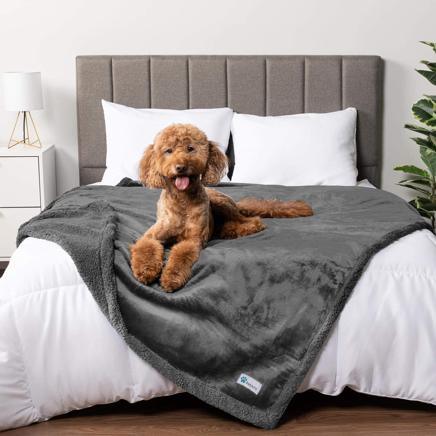 Petami Waterproof Dog Blanket for Bed Couch Sofa | Warm Sherpa Pet Throw Blanket | Super Soft Microfiber Fleece | Reversible Design for Puppy and Large Pet Dog | 60 X 80 Inches (Gray/Gray Sherpa) image number 3