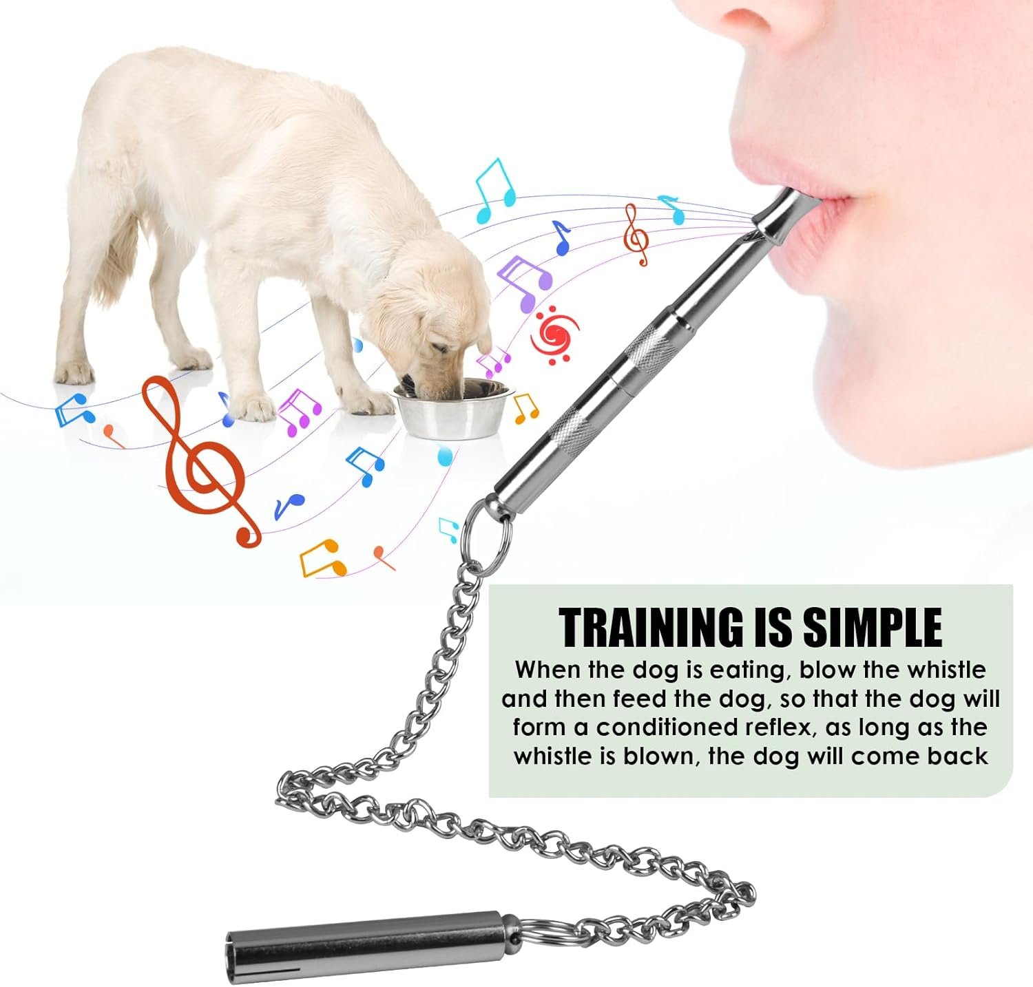 Hioip Dog Whistles for Recall, Dog Training Whistle with Chain, Dog Whistle to Stop Barking with Far Reaching Sound, High Frequency Long Distance Dog Recall Whistle for Most Dogs