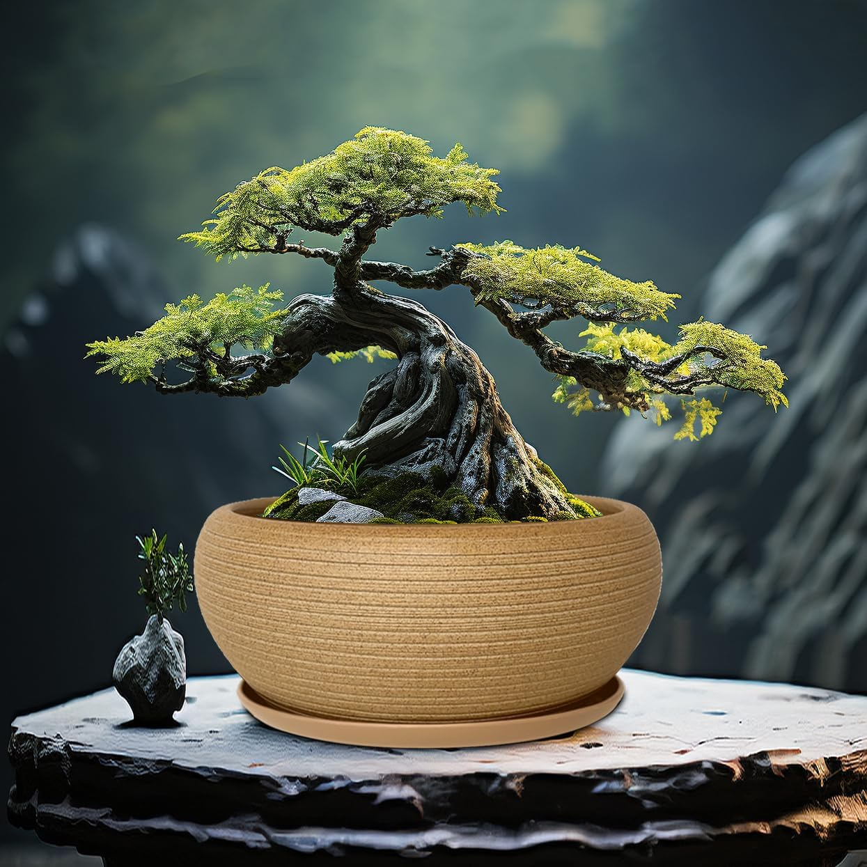 MUZHI 10&rdquo; round Large Ceramic Bonsai Bowl Planter，Clay Succulent Plant Pot Container with Saucer image number 4