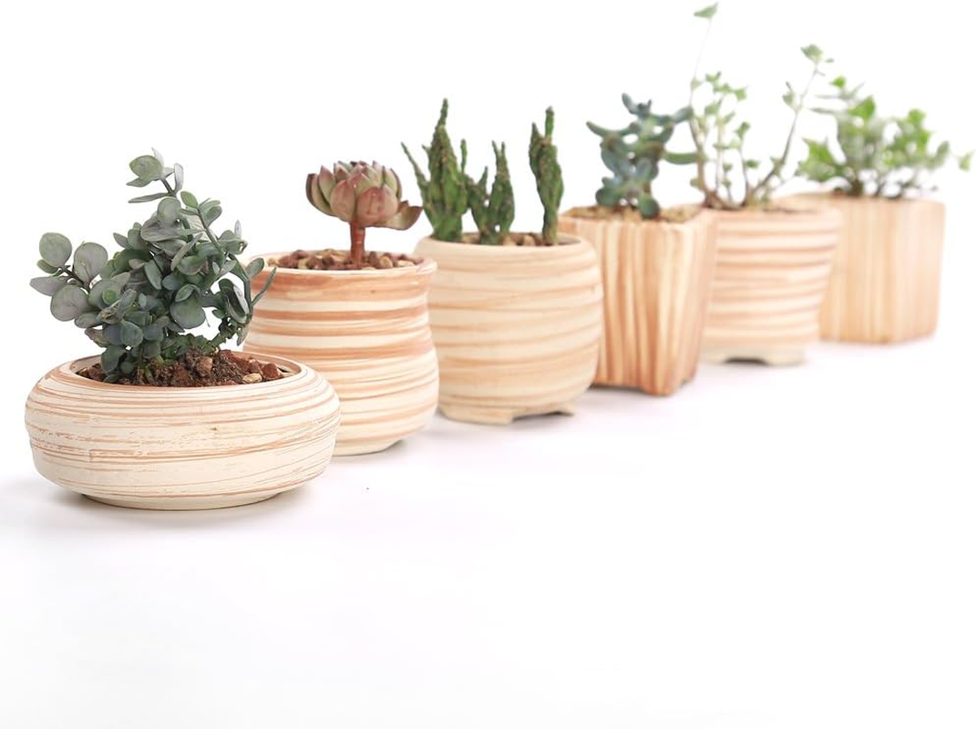 6 Pack 7.5CM Wooden Pattern Plant Pots Ceramic Planters Succulent Plant Pot/Cactus Plant Pot Flower Pot Container Planter Perfect Gife Idea image number 1