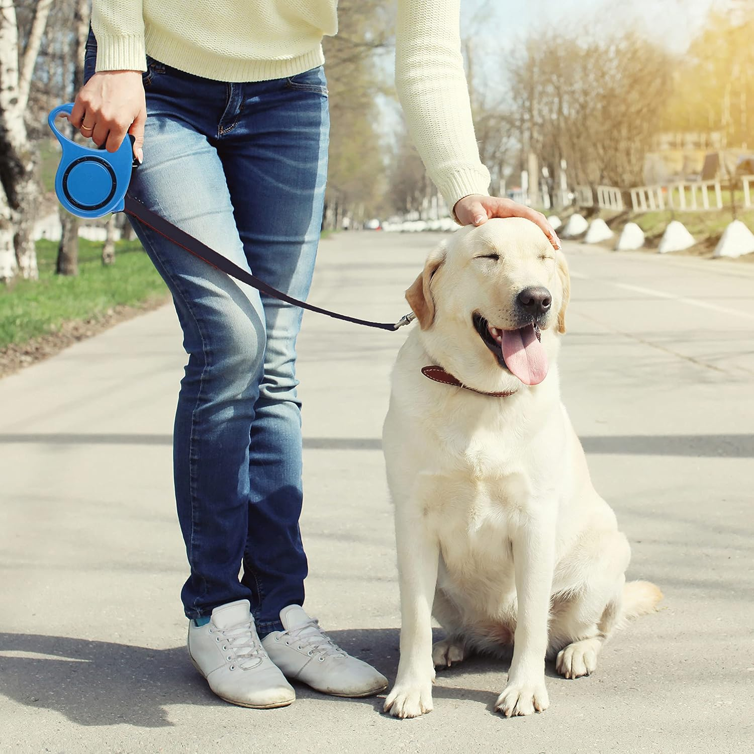 Retoo Retractable Dog Lead 3 M for Small and Large Dogs, Flexible Band for Right Walks, Dog Leash, Comfortable Handle, Belt Lead, Robust Extendable Lead for Walking, Roll Lead, High-Quality Lead image number 3