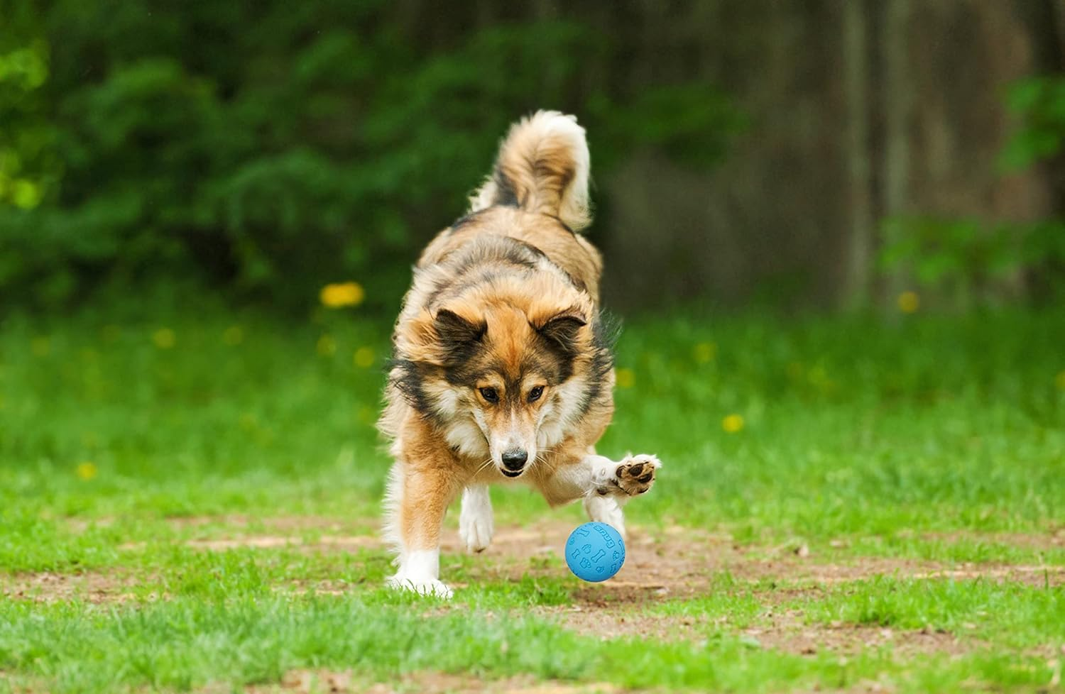Snug Rubber Dog Balls for Small and Medium Dogs - Tennis Ball Size - Virtually Indestructible (3 Pack - Cool)