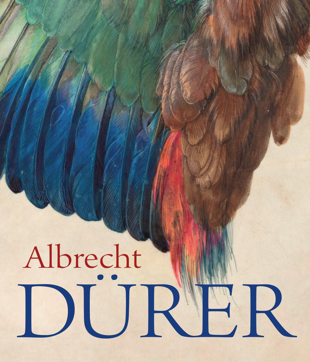 Albrecht Durer image number 1