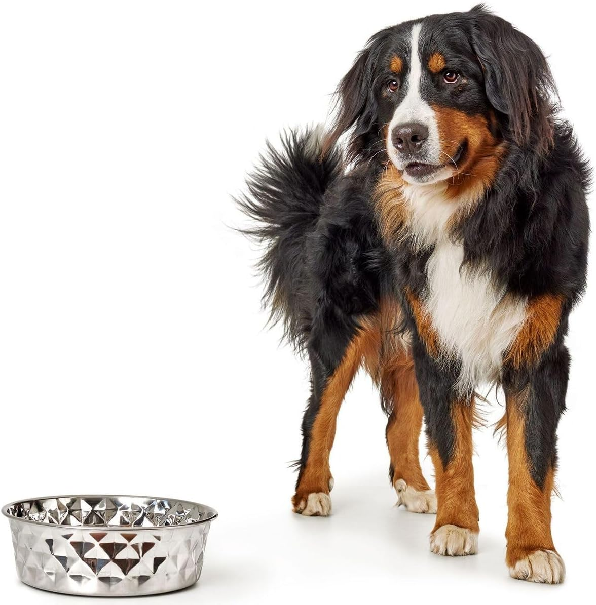 Hunter Silicone Stainless Steel Dog Bowl 1.75L image number 1