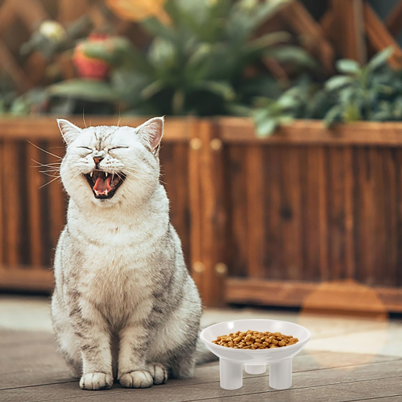 Kisangel Plastic Elevated Cat Bowls, Raised Feeding Bowl Ergonomic Design for Indoor Cats Stylish Home Decor - Pink image number 4