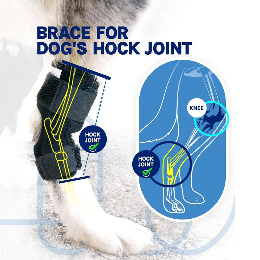 Rear Leg Hock Brace, Dog Knee Brace with Metal Strips, Hock & Ankle Support Back Leg for Canine Torn, Dog Leg Sleeve for ACL & CCL Injury and Sprain Protection (S, Black) image number 4
