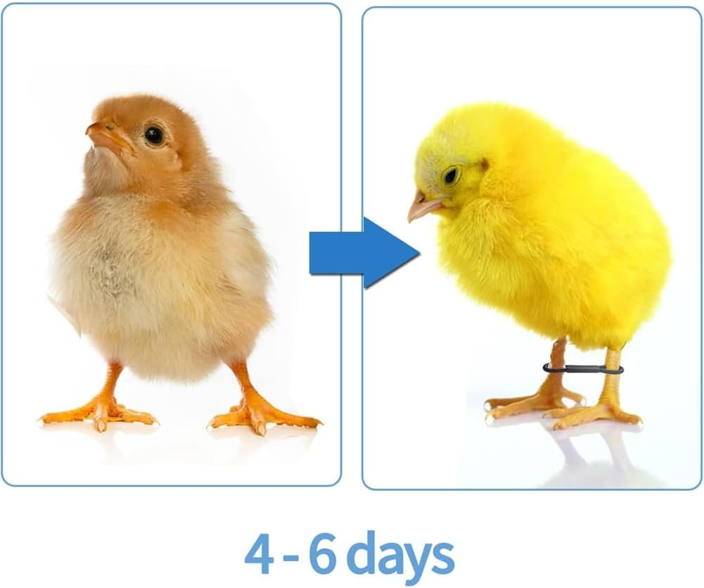 Fulillanlun 100PCS Baby Chicken Splay Leg Hobble Brace Adjustable Poultry Leg Bands for Newborn Spraddle Leg Chick Bird Quails Ducks
