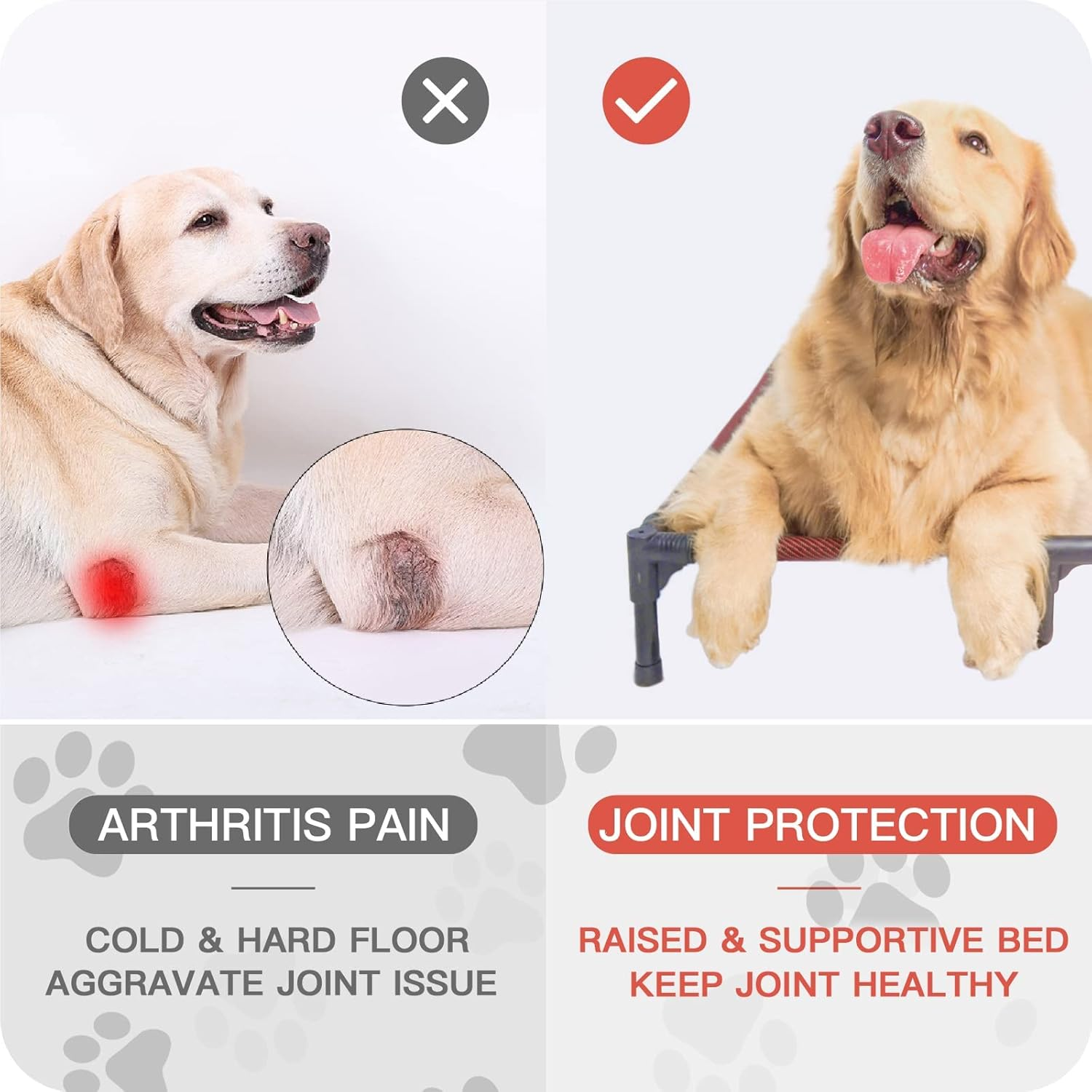 SUDDUS Elevated Dog Bed - Waterproof, Portable, Raised off Floor - Easy Clean for Indoor or Outdoor Use - Medium, Red image number 6