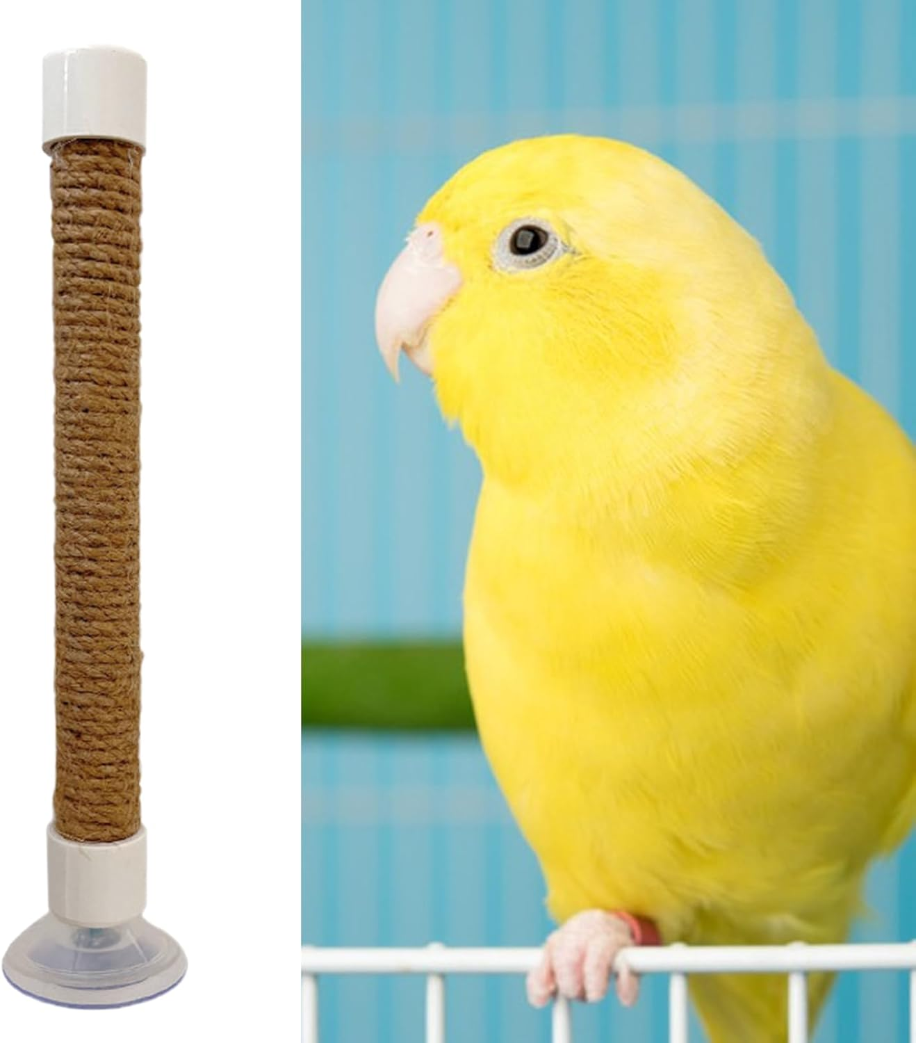 Furtryvl Parrot Shower Perch - Cockatoo Training Stand,Portable Cockatoo Macaw Bird Cage Accessory Suction Cup Perch Toy for Training Supplies Accessories image number 1
