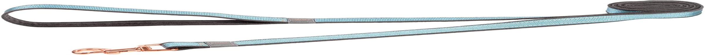 Rogz Classic Urban Dog Lead Turquoise Small image number 1