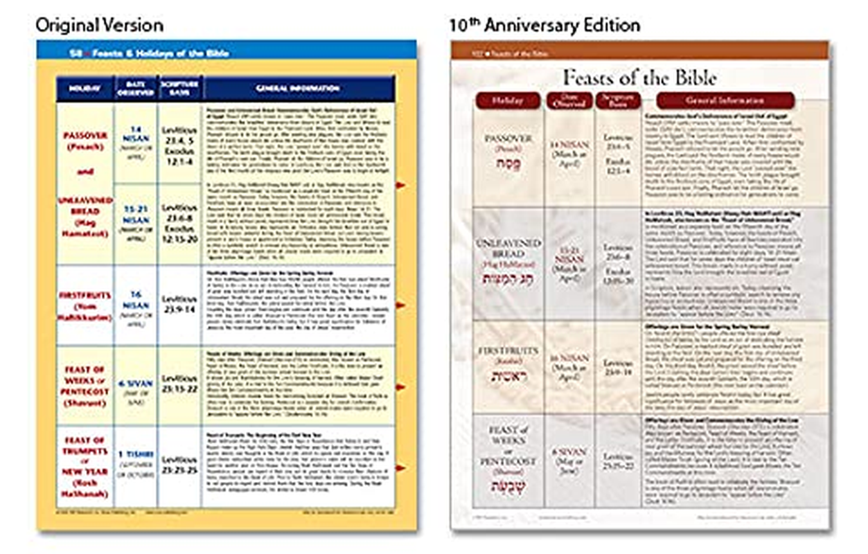 Rose Book of Bible Charts, Maps, and Time Lines (10Th Anniversary Edition: Full-Color Bible Charts, Illustrations of the Tabernacle, Temple, and High ... Maps, Biblical and Historical Time Lines image number 1