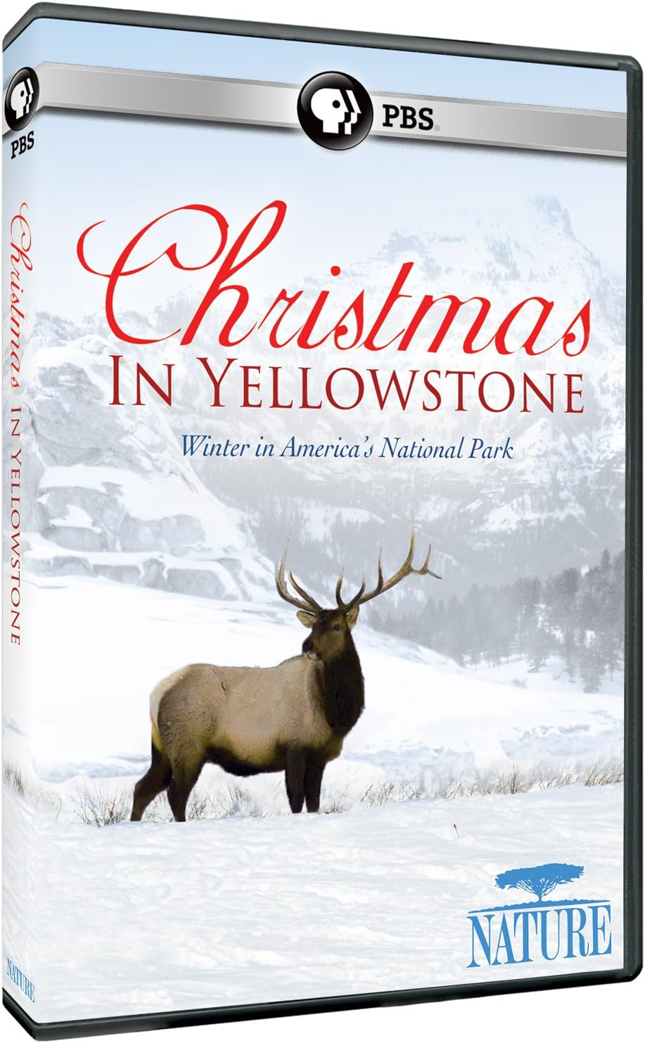 Nature: Christmas in Yellowstone